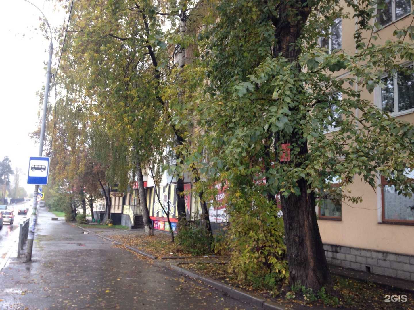 Отзывы на компанию Стрижка shop в Екатеринбурге c фото - фотография 2 из 2