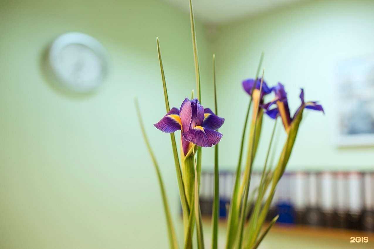 Отзывы на компанию 100 БАЛЛОВ в Перми c фото