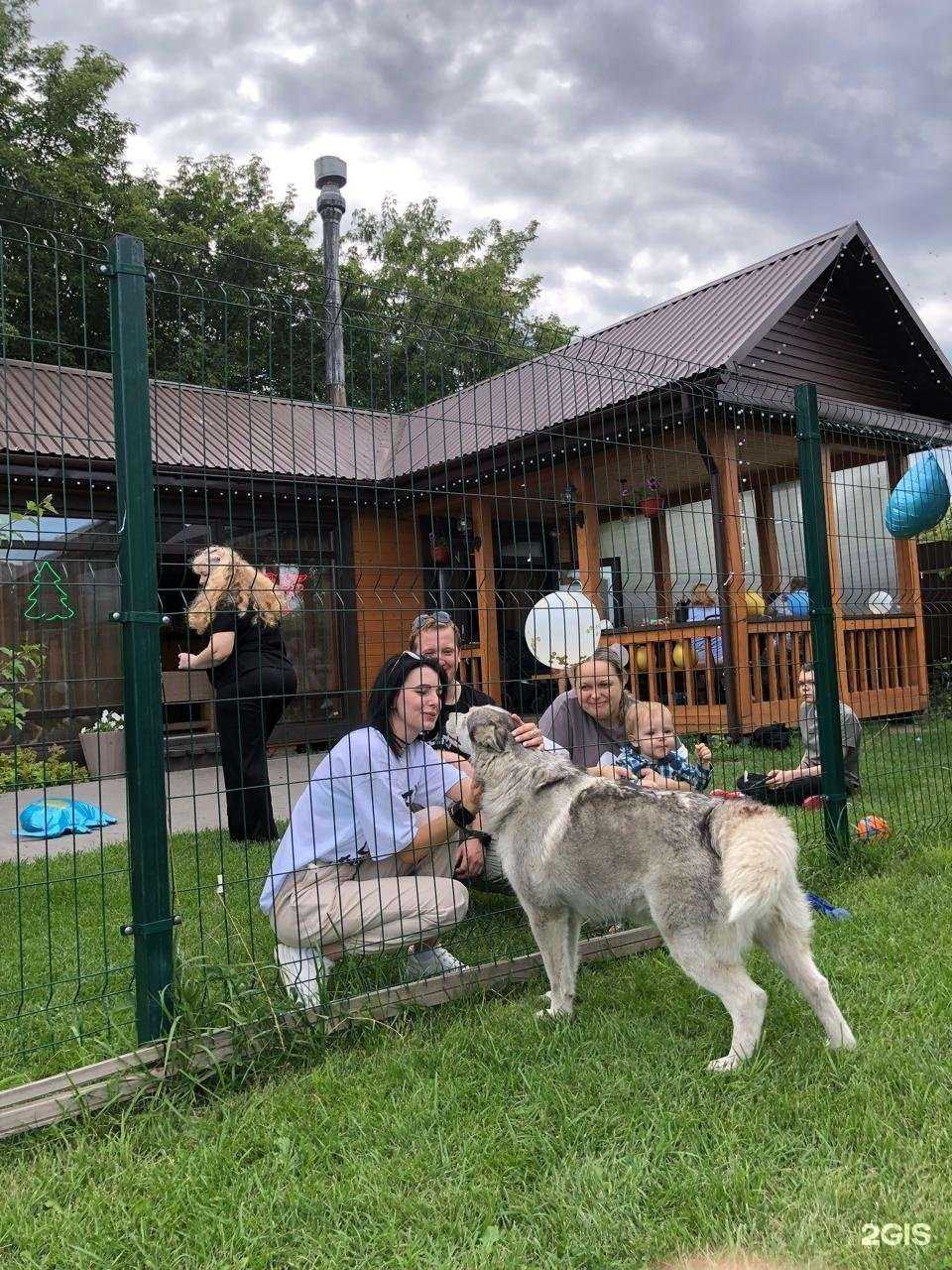 Отзывы на компанию Grill Time в Омске c фото