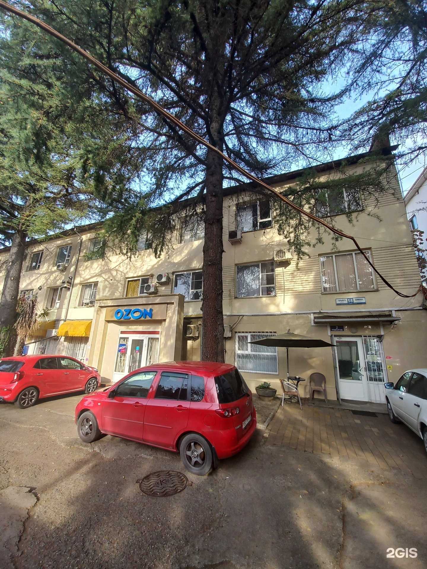 Отзывы на компанию Грация в г. Сочи c фото