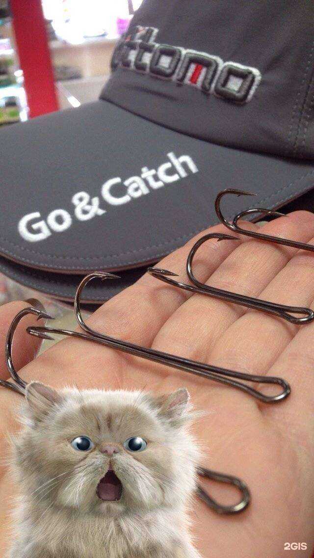 Отзывы на компанию Рыбы нет в Калининграде c фото