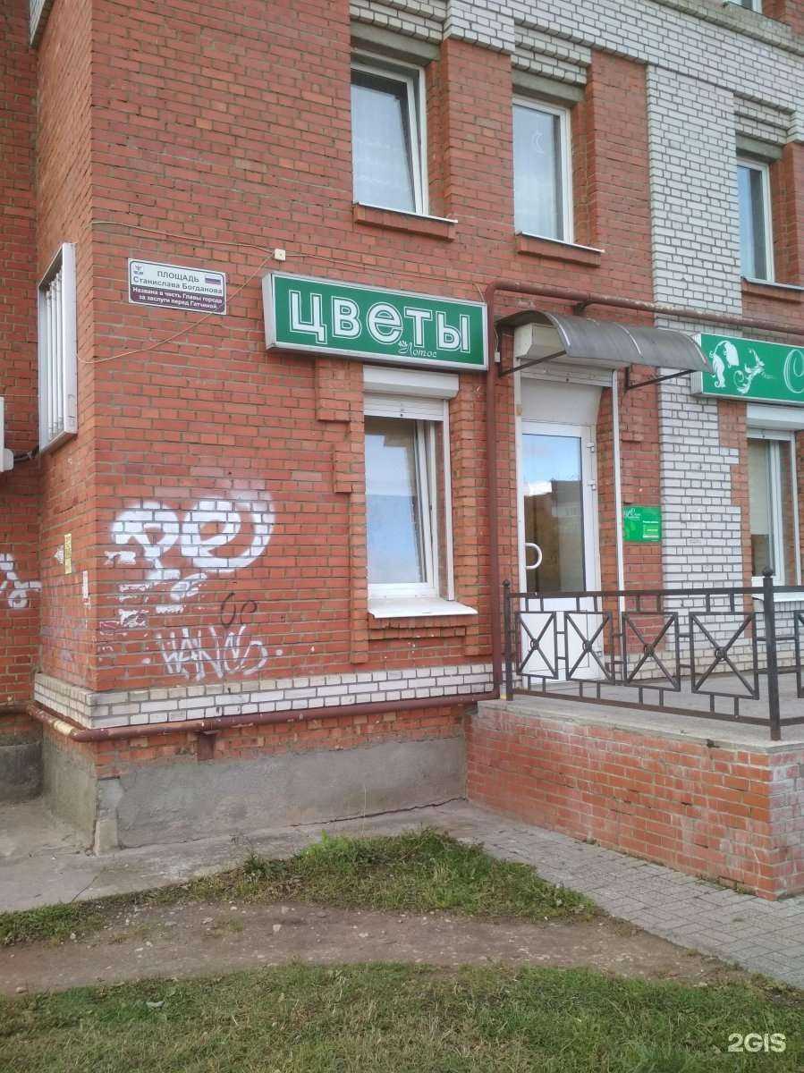 Отзывы на компанию Лотос в г. Гатчина c фото