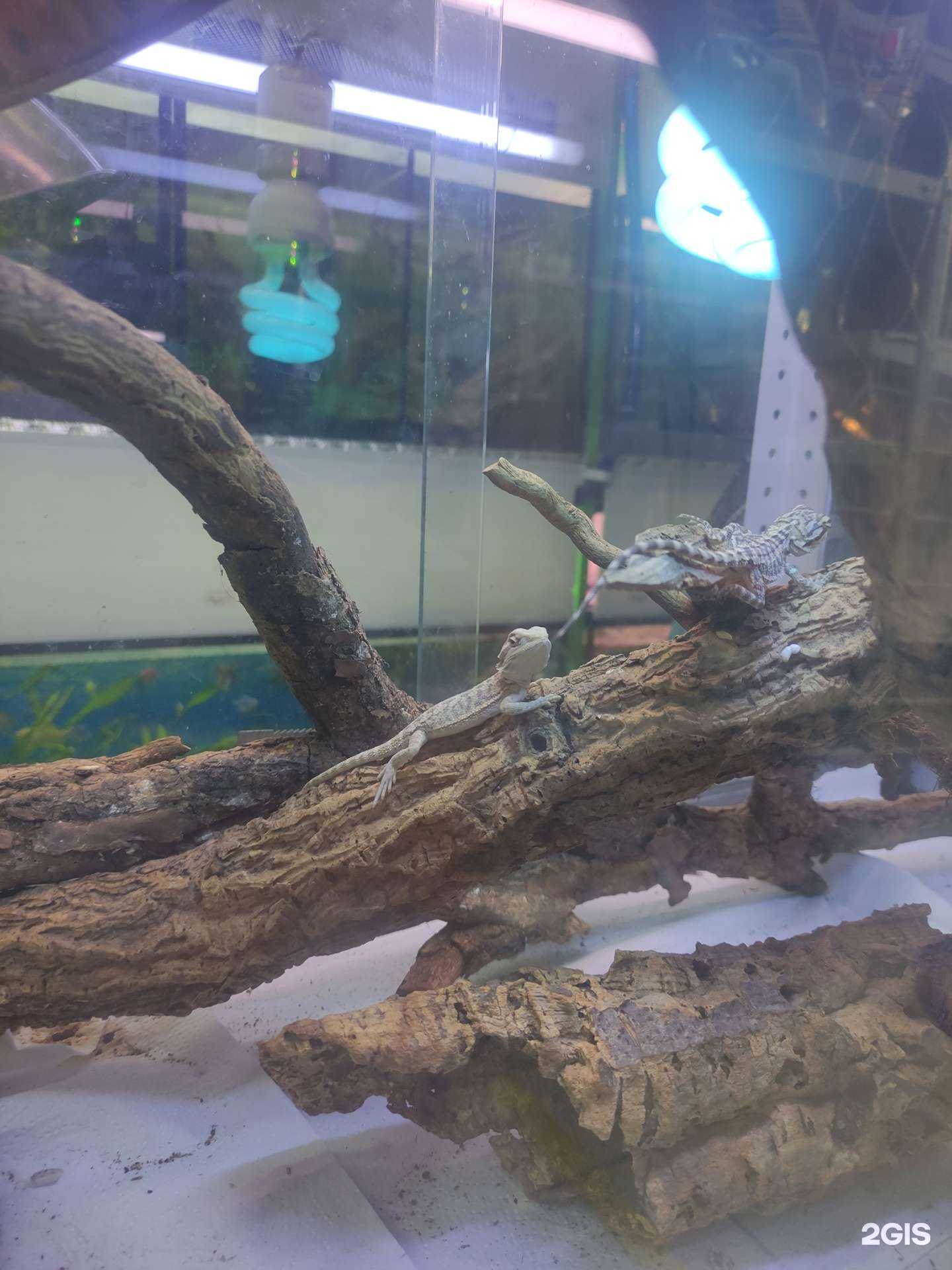 Отзывы на компанию Карпик в Сочи c фото