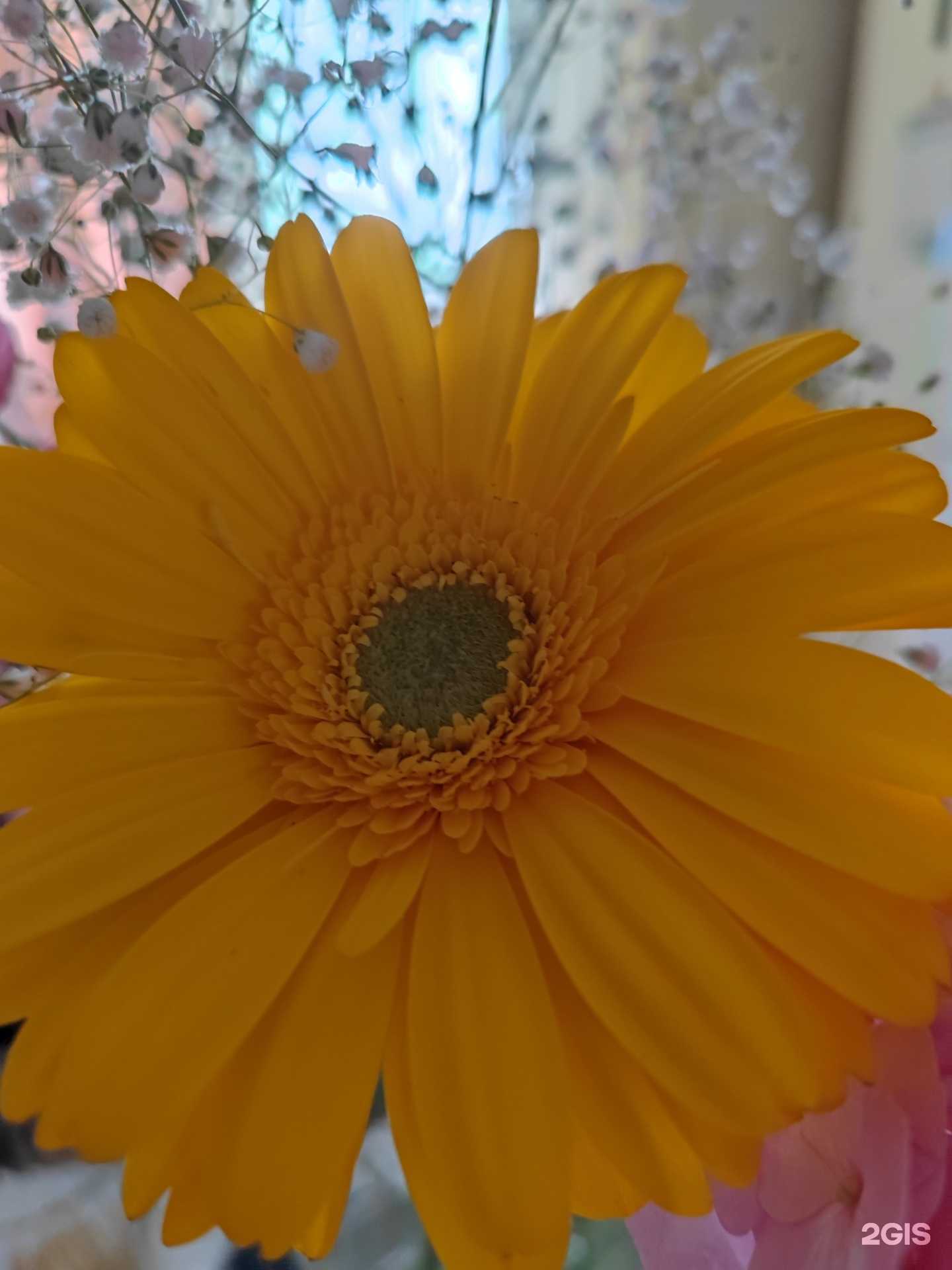 Отзывы на компанию Pcela в г. Екатеринбург c фото