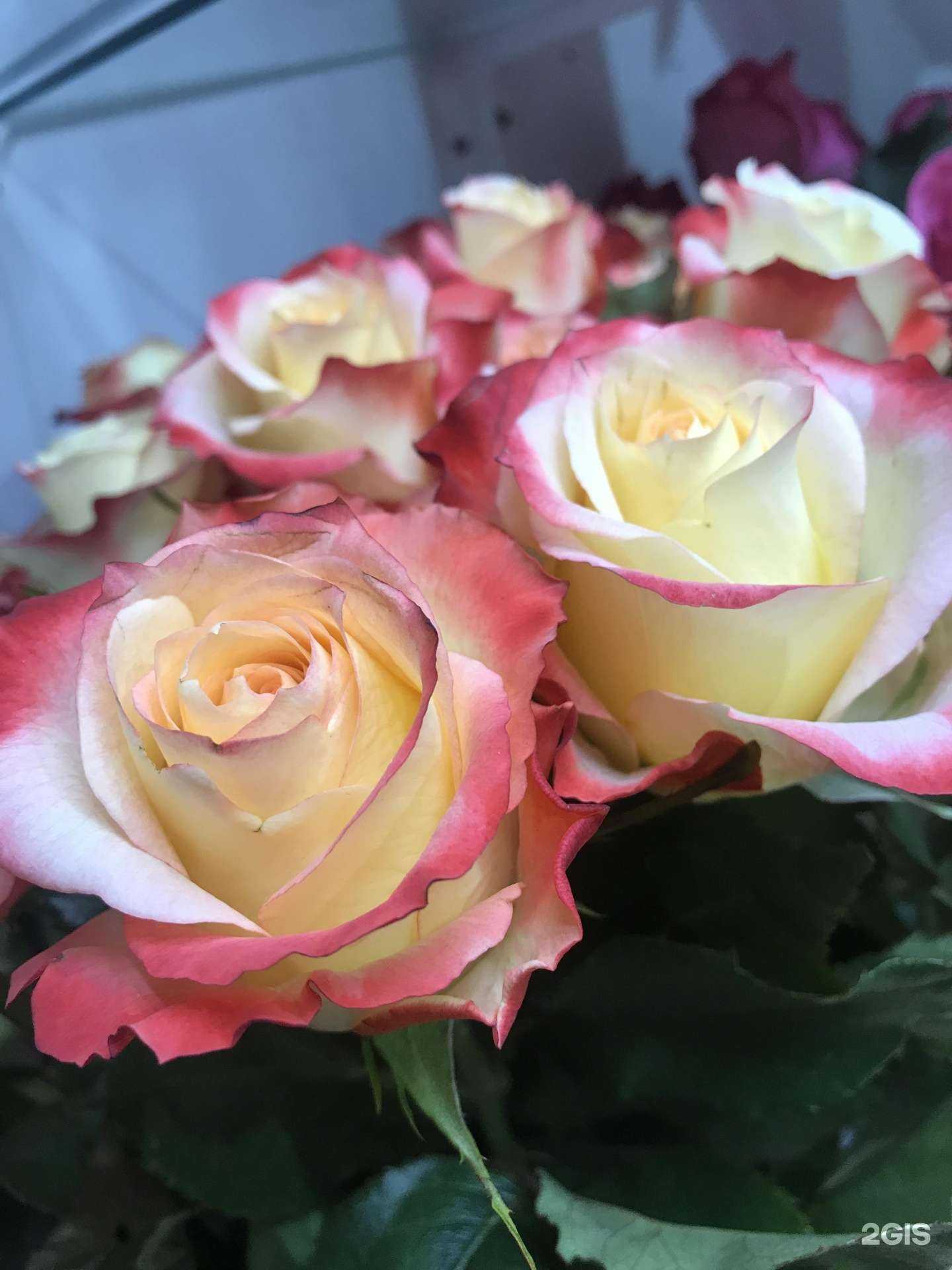 Отзывы на компанию Цветы на Магистральной в Тамбове c фото