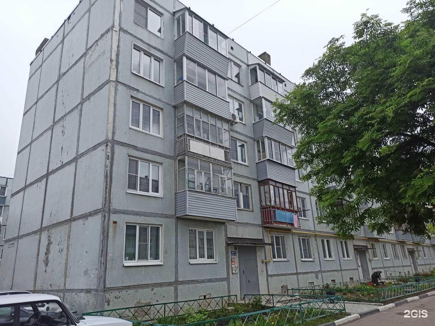 Отзывы на компанию Айсберг в Коврове c фото - фотография 2 из 2