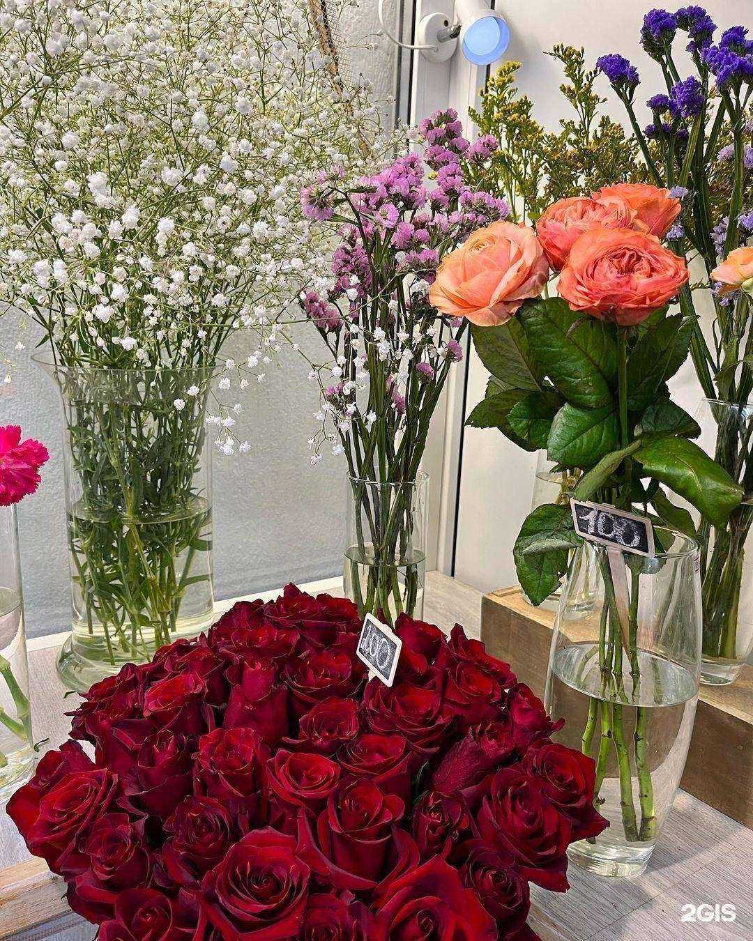 Отзывы на компанию Ирис в Марксе c фото