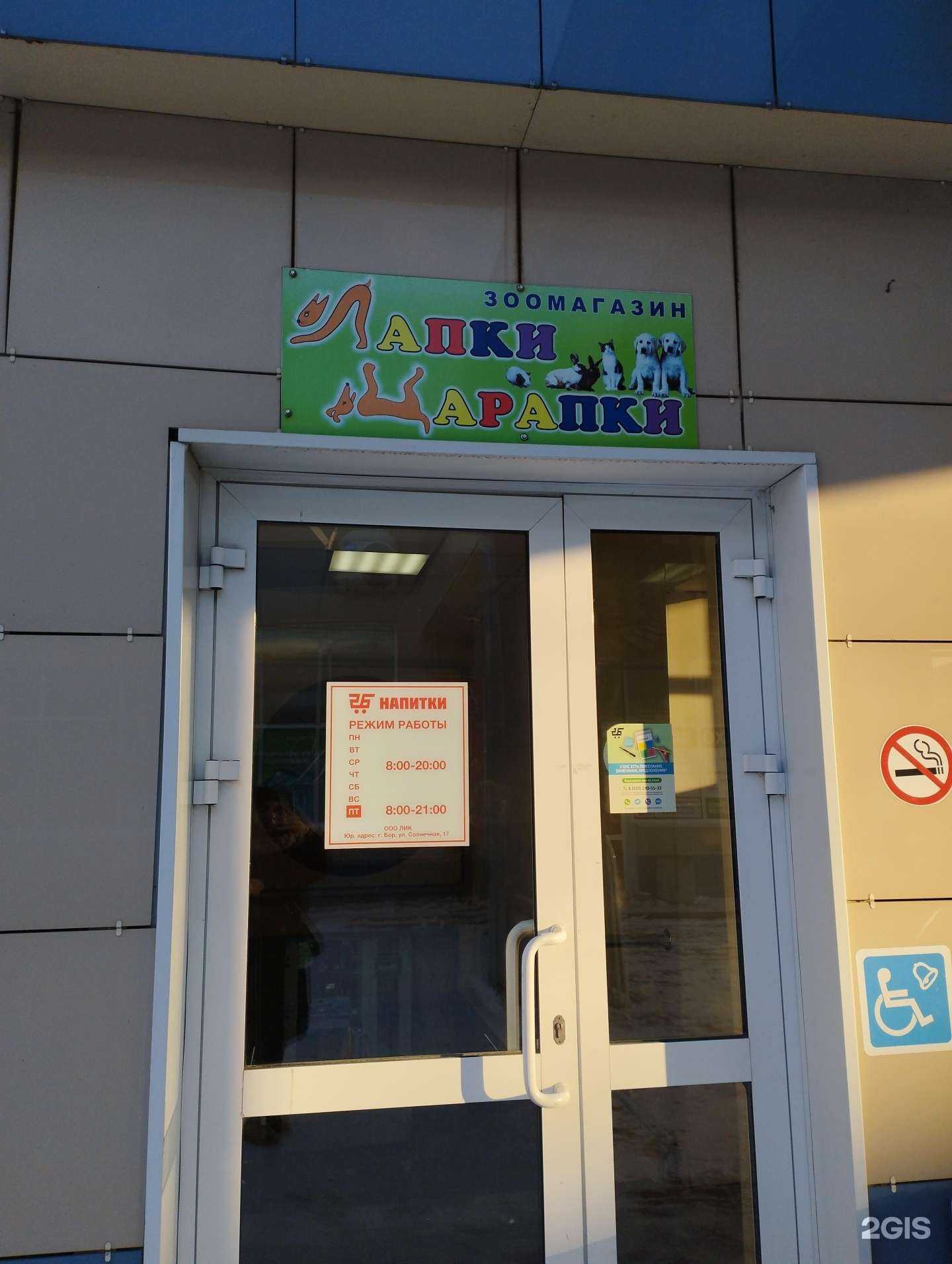 Отзывы на компанию Лапки Царапки в г. Бор c фото