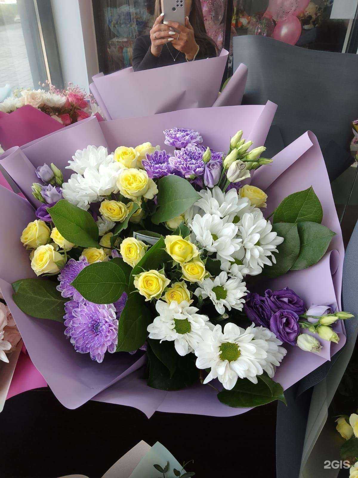 Отзывы на компанию Голландия в г. Тюмень c фото