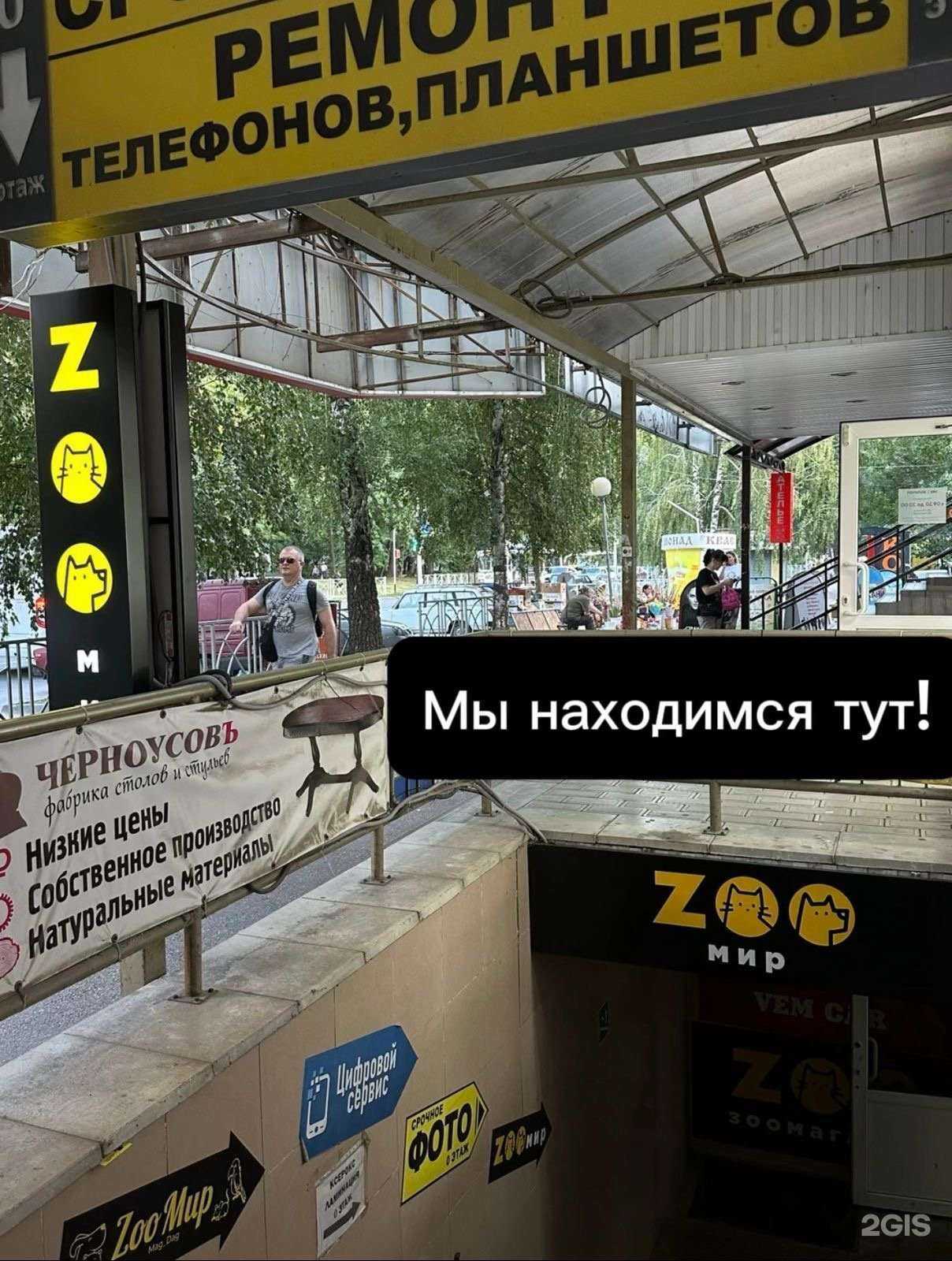 Отзывы на компанию ZooMir в Ставрополе c фото