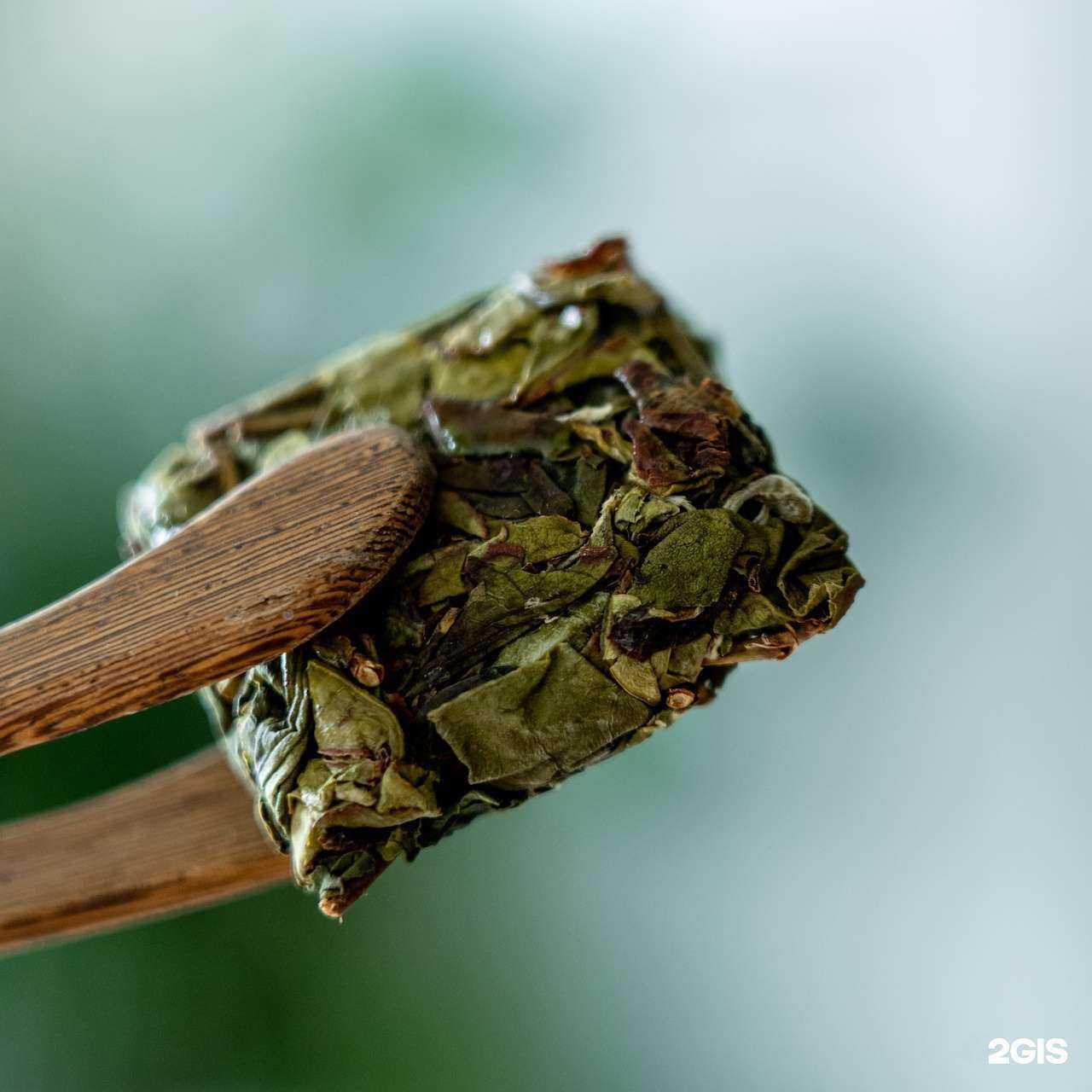 Отзывы на компанию tealevel.ru в Калининграде c фото