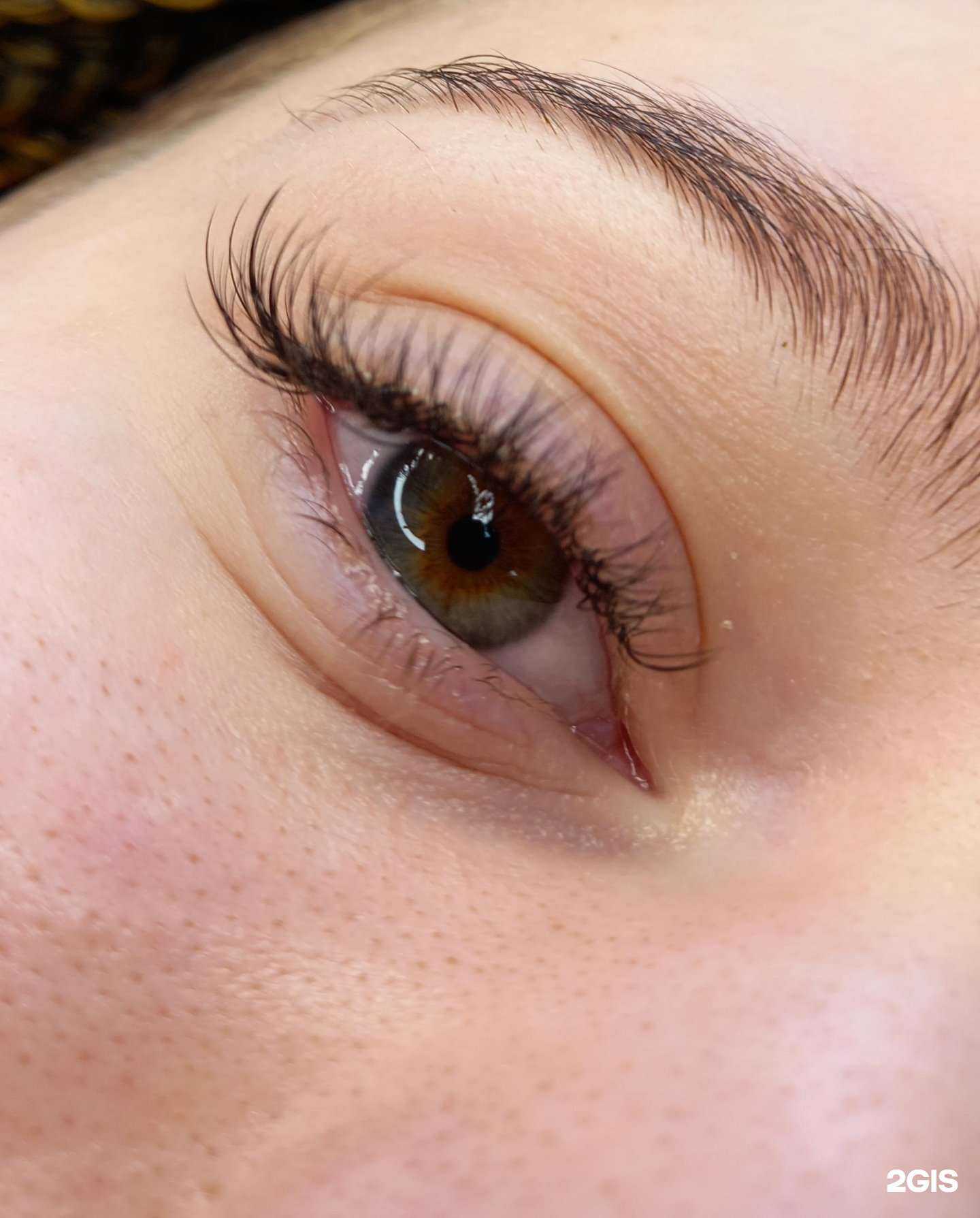 Отзывы на компанию Lash to Lash  в Барнауле c фото