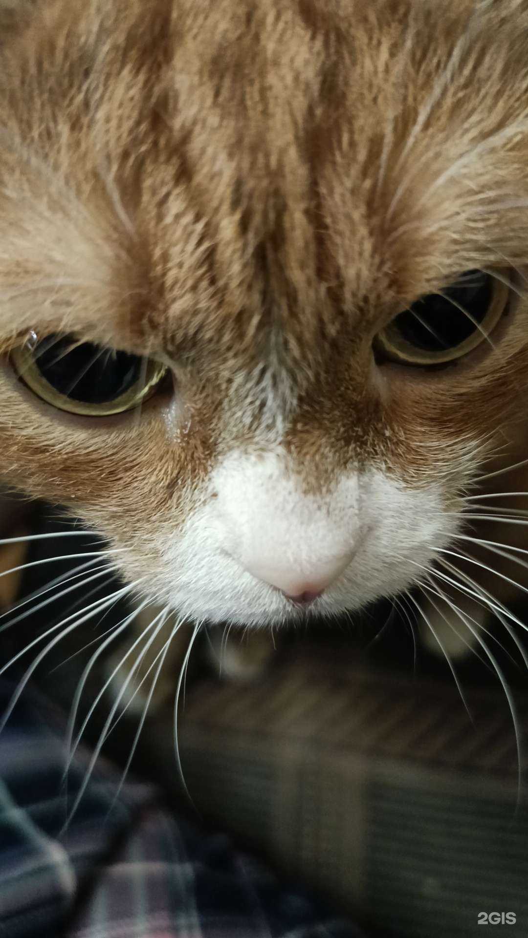 Отзывы на компанию Адвокат Кашапова Альбина Альбертовна  в Уфе c фото