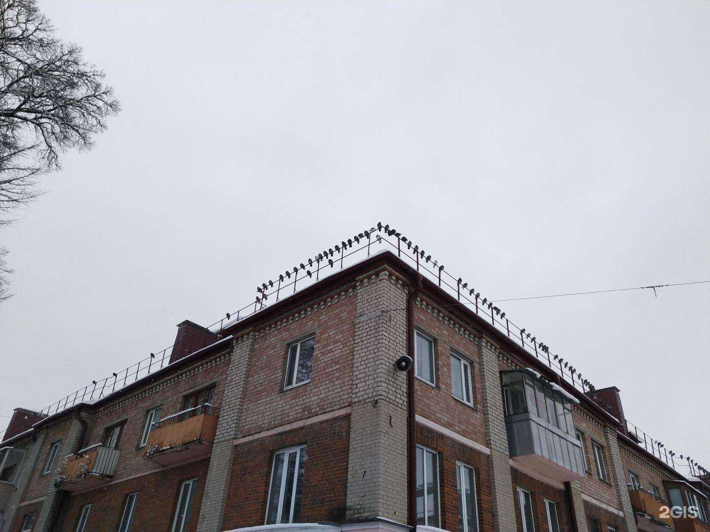 Отзывы на компанию Салон окон в Брянске c фото - фотография 2 из 2