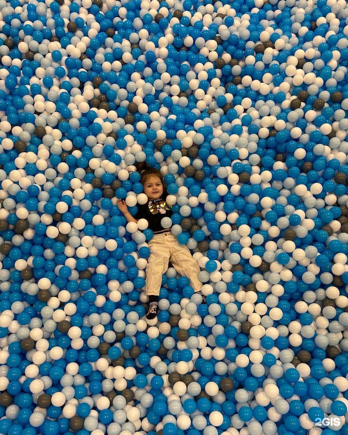 Отзывы на компанию Кото-мото в Краснодаре c фото