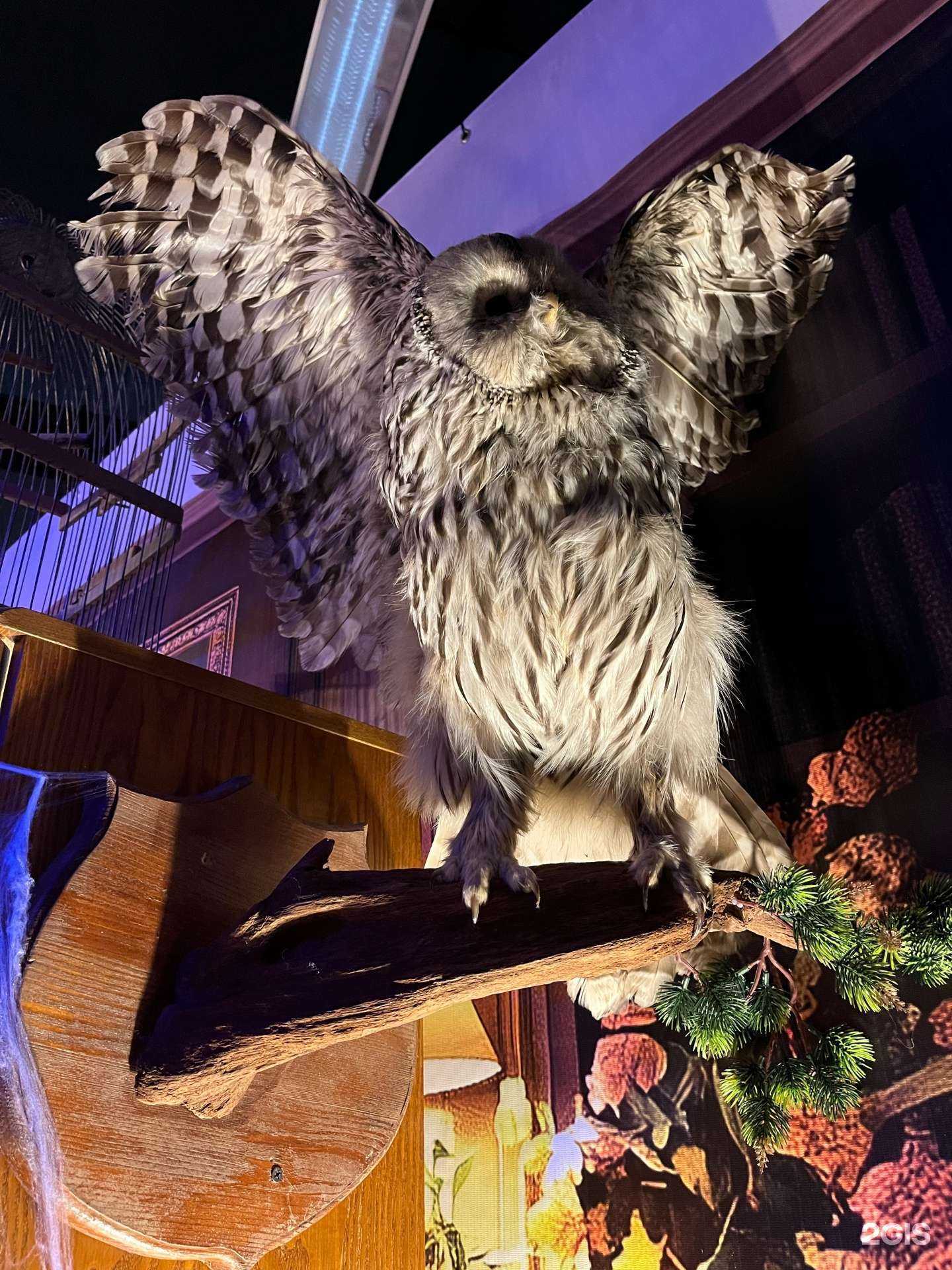 Отзывы на компанию Вселенная Гарри Поттера в г. Екатеринбург c фото