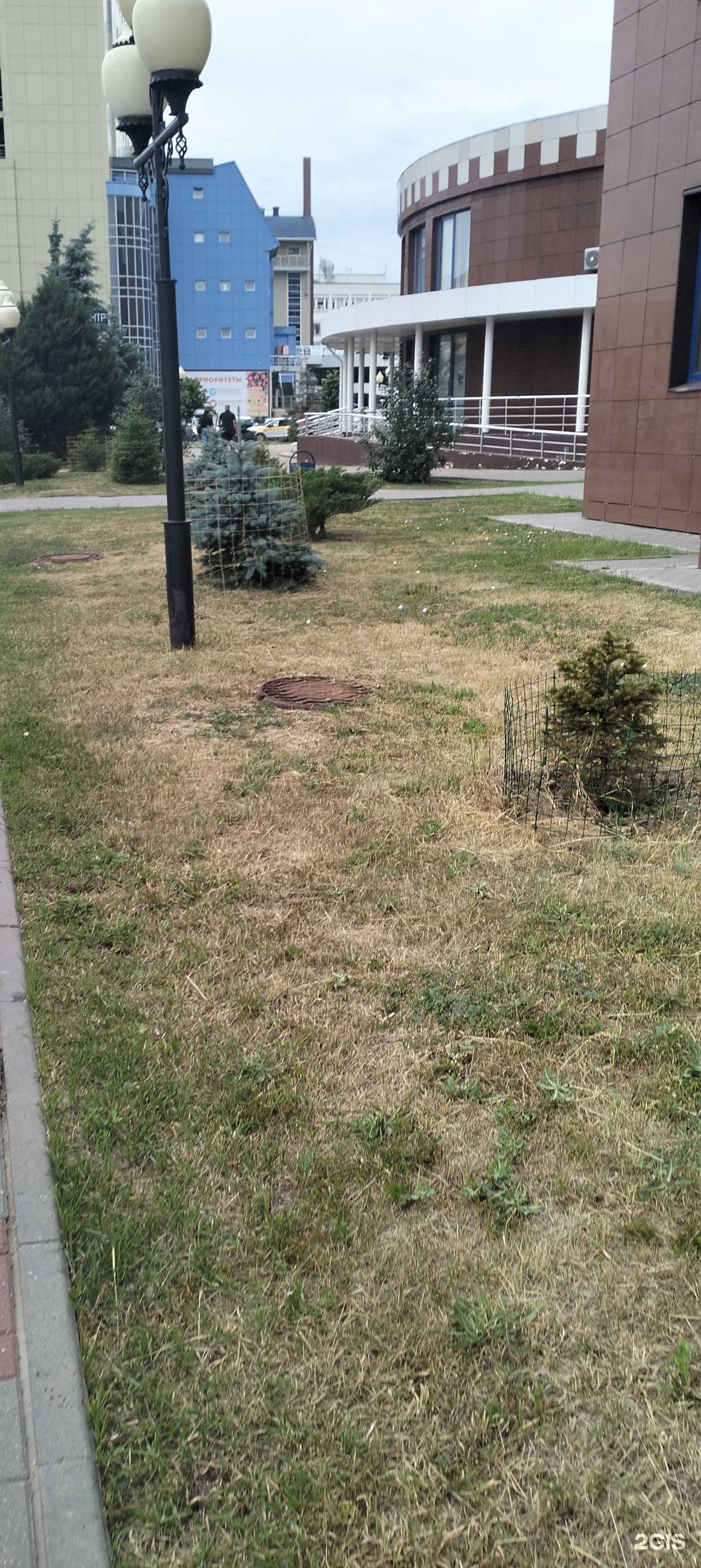 Отзывы на компанию Компания по аренде микроавтобусов и спецтехники в г. Тамбов c фото