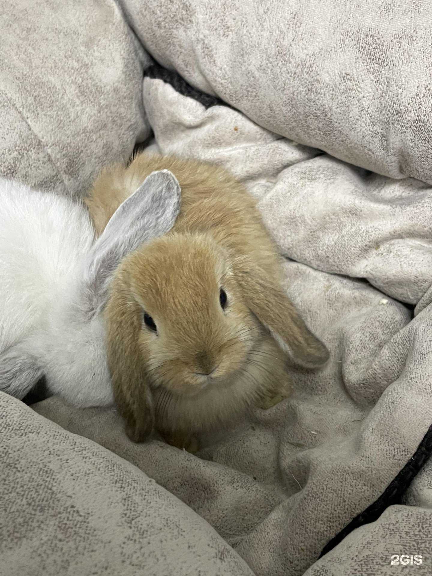 Отзывы на компанию Ковчег в Тюмени c фото