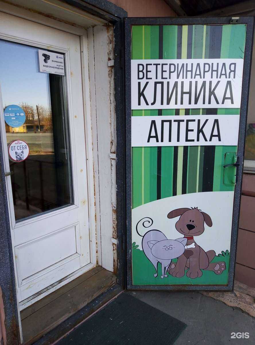 Отзывы на компанию Sinta-Vet в г. Омск c фото