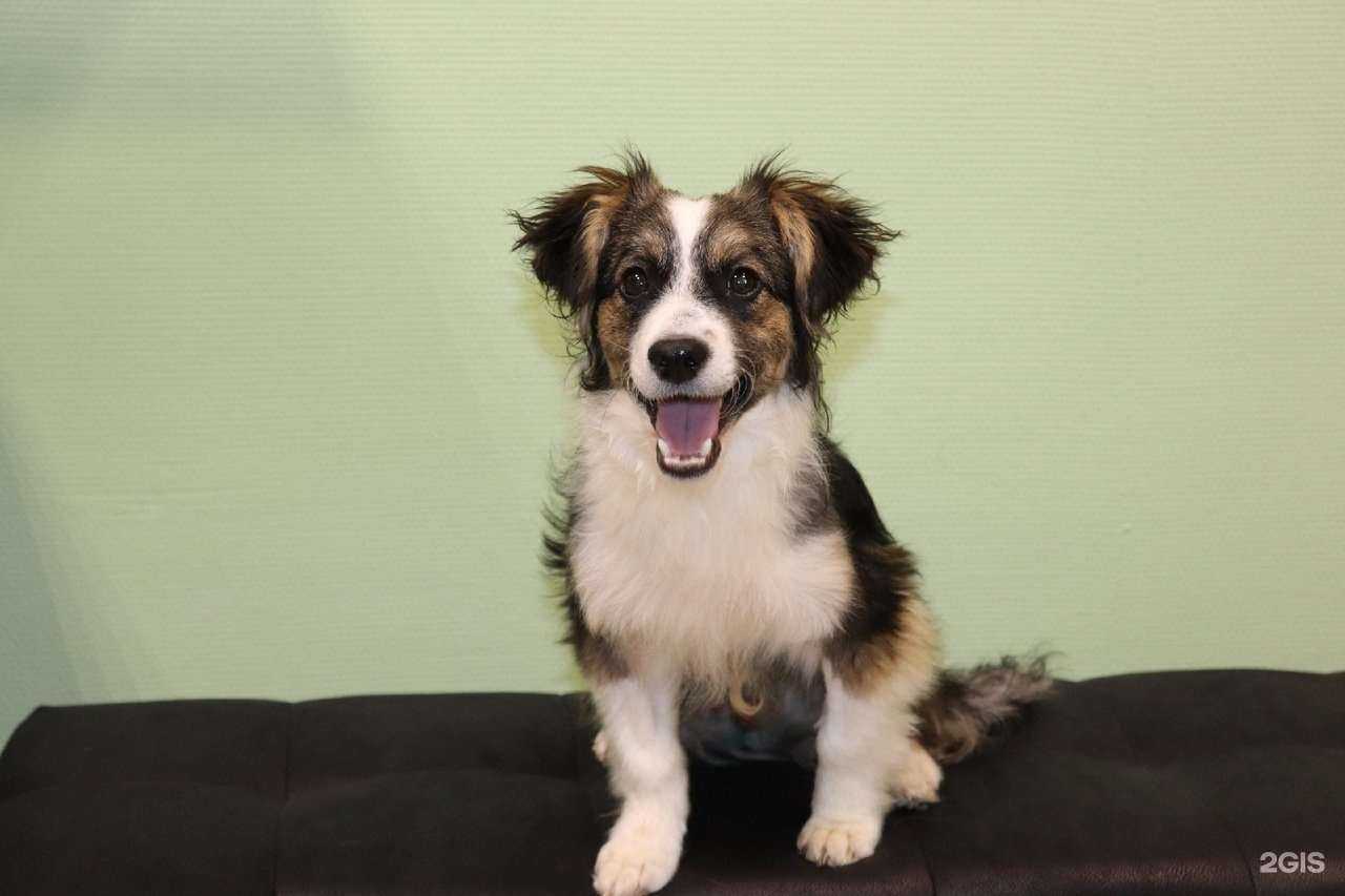 Отзывы на компанию Ковчег в Липецке c фото