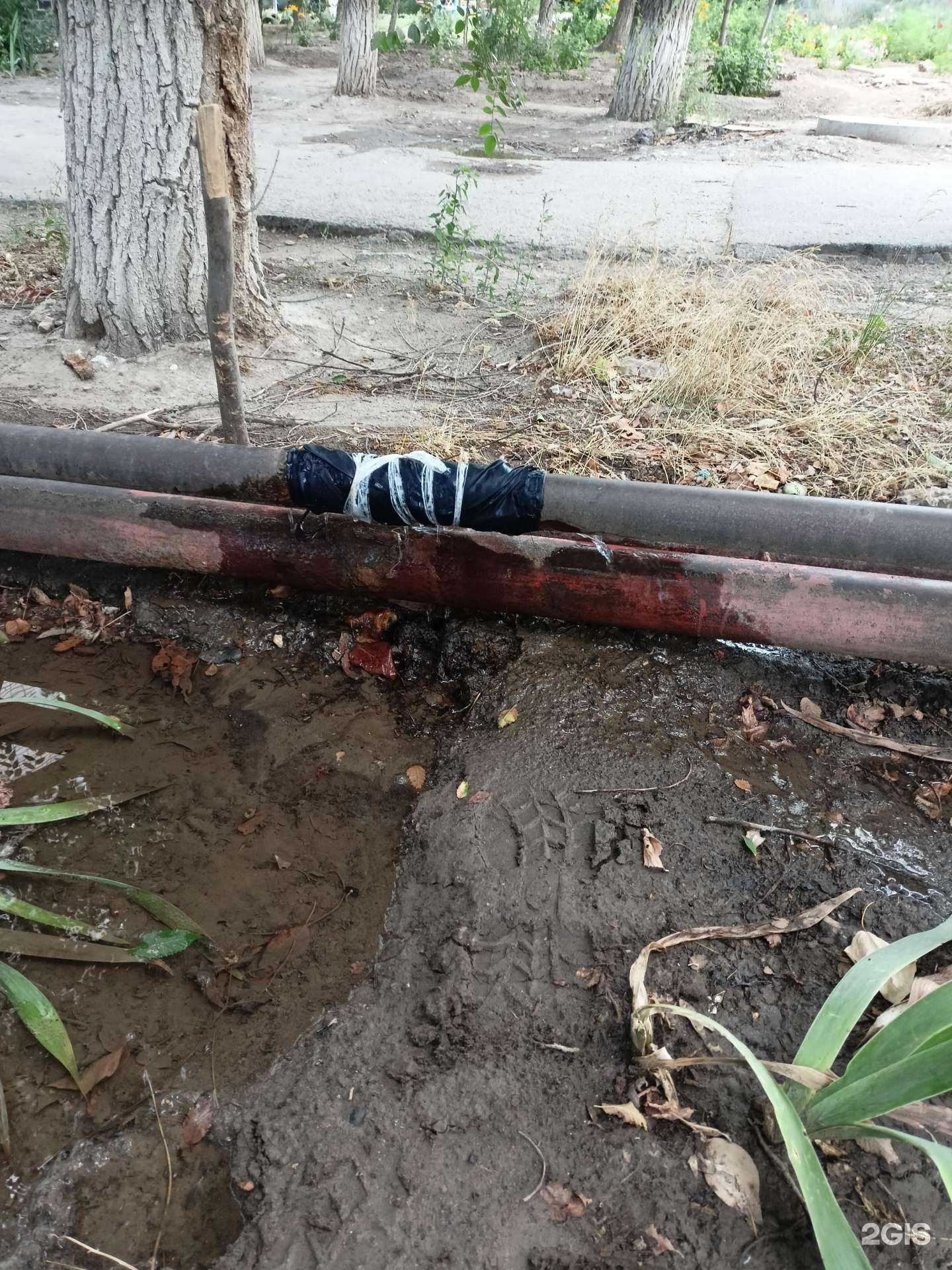 Отзывы на компанию Волгоградское коммунальное хозяйство в Волгограде c фото