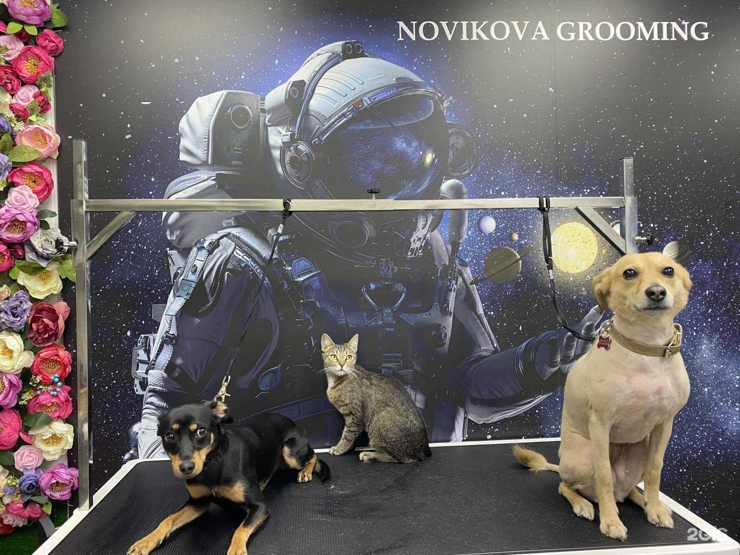 Отзывы на компанию Нортон в Уфе c фото