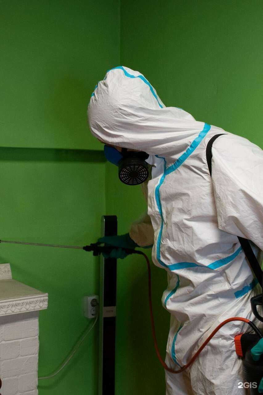 Отзывы на компанию Био-дез в Оренбурге c фото