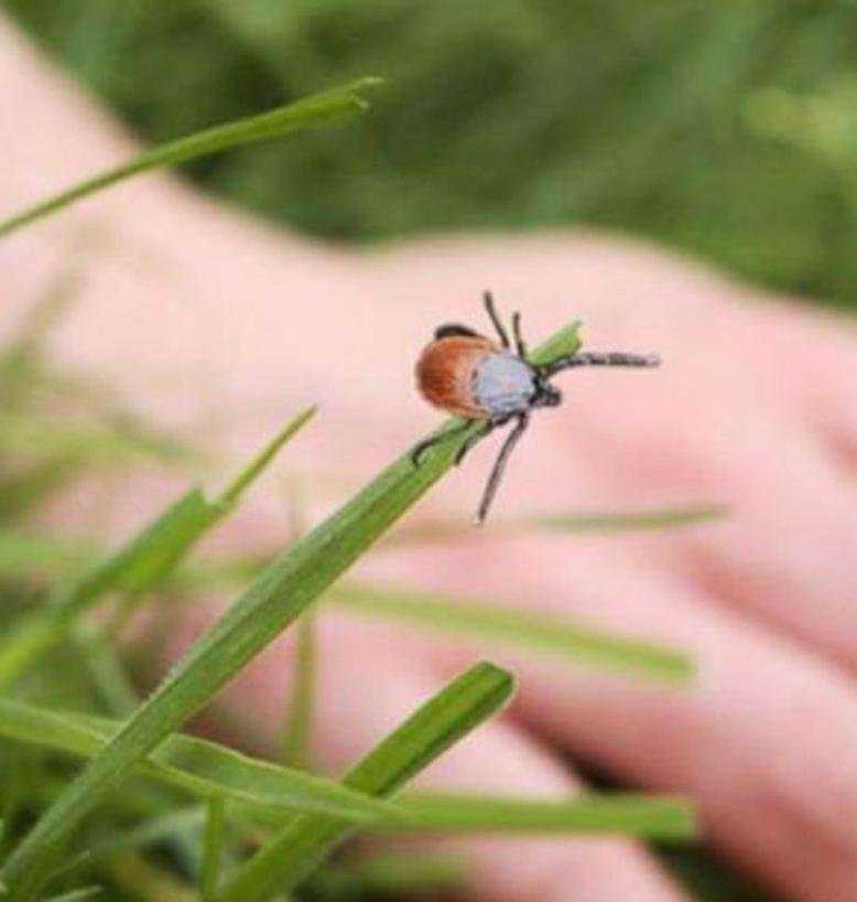 Отзывы на компанию Аско в Карабаше c фото