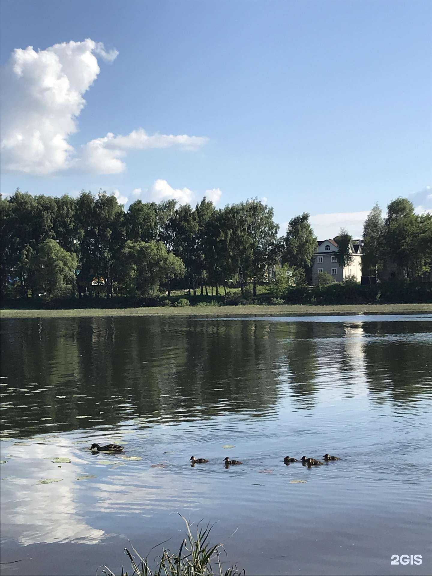 Отзывы на компанию Даманский в г. Ярославль c фото