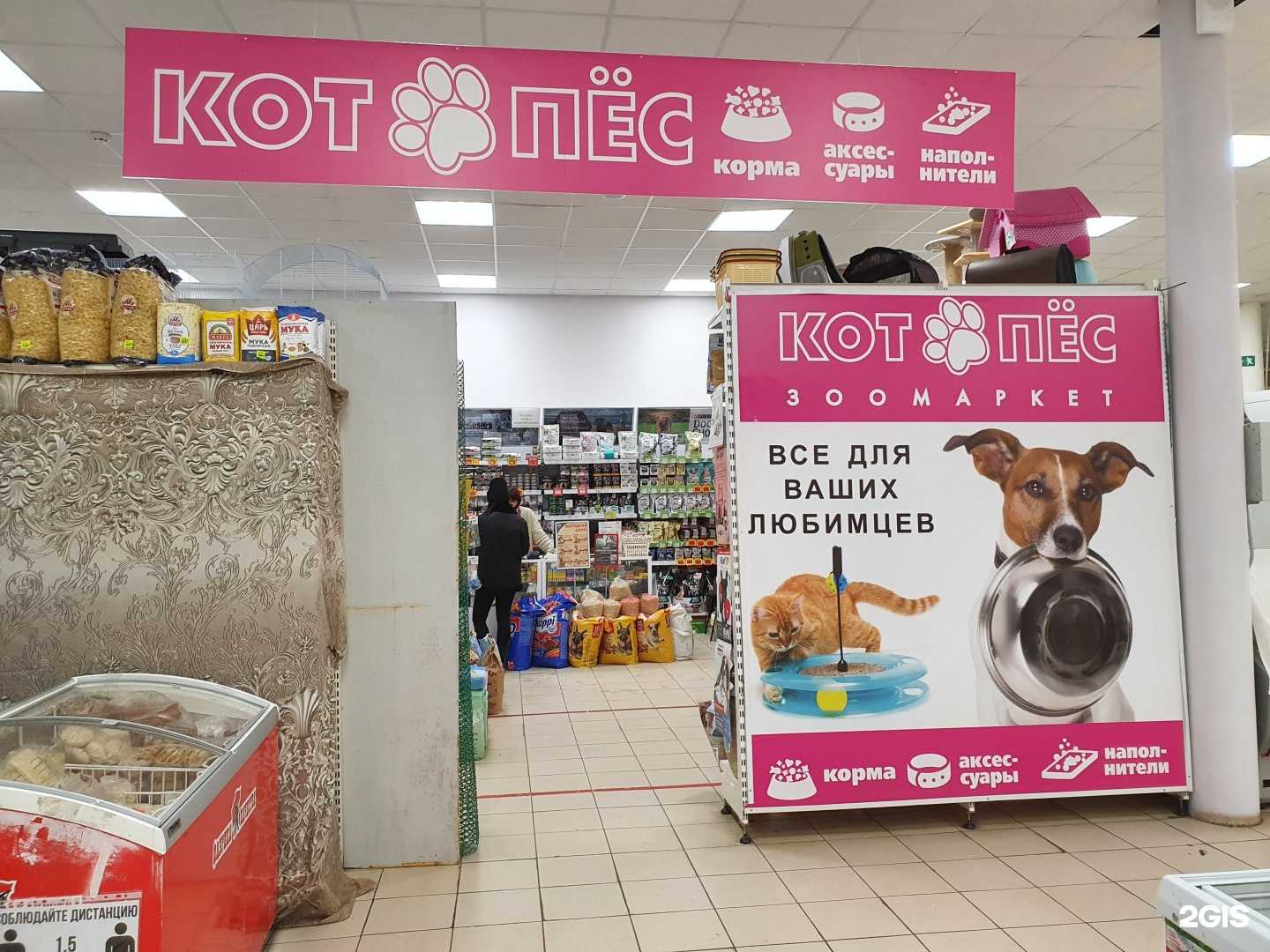 Отзывы на компанию Котопёс в Саратове c фото