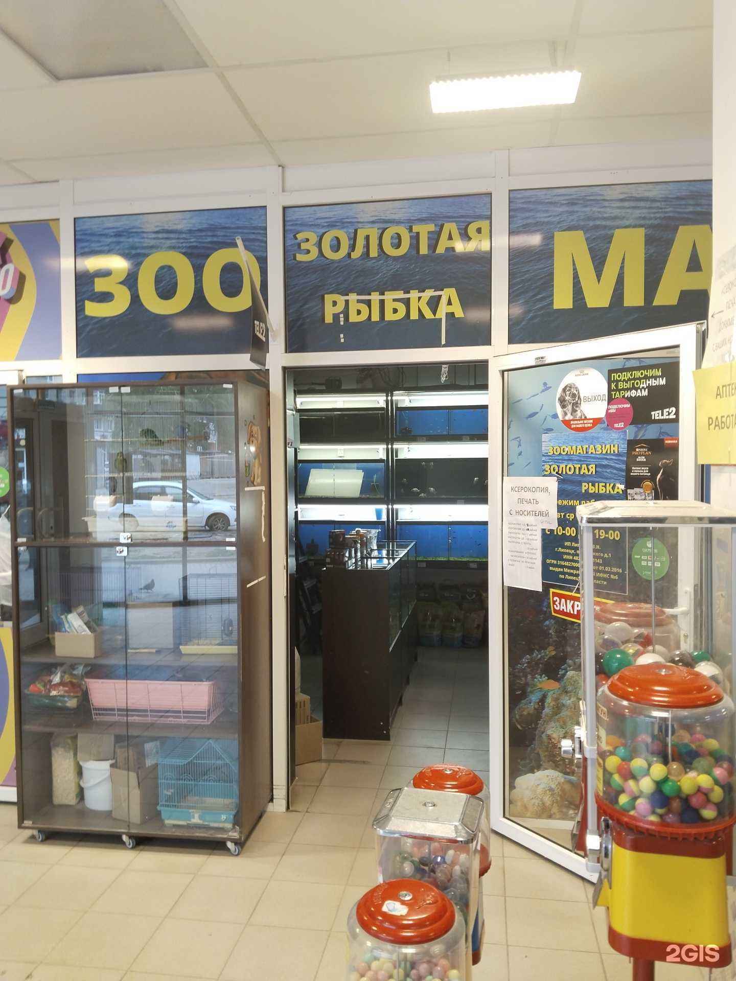 Отзывы на компанию Золотая рыбка в Липецке c фото