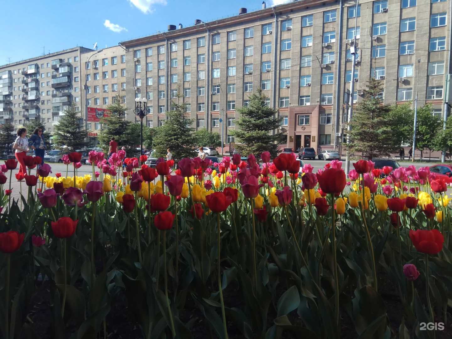 Отзывы на компанию Ирана в Новосибирске c фото - фотография 2 из 2