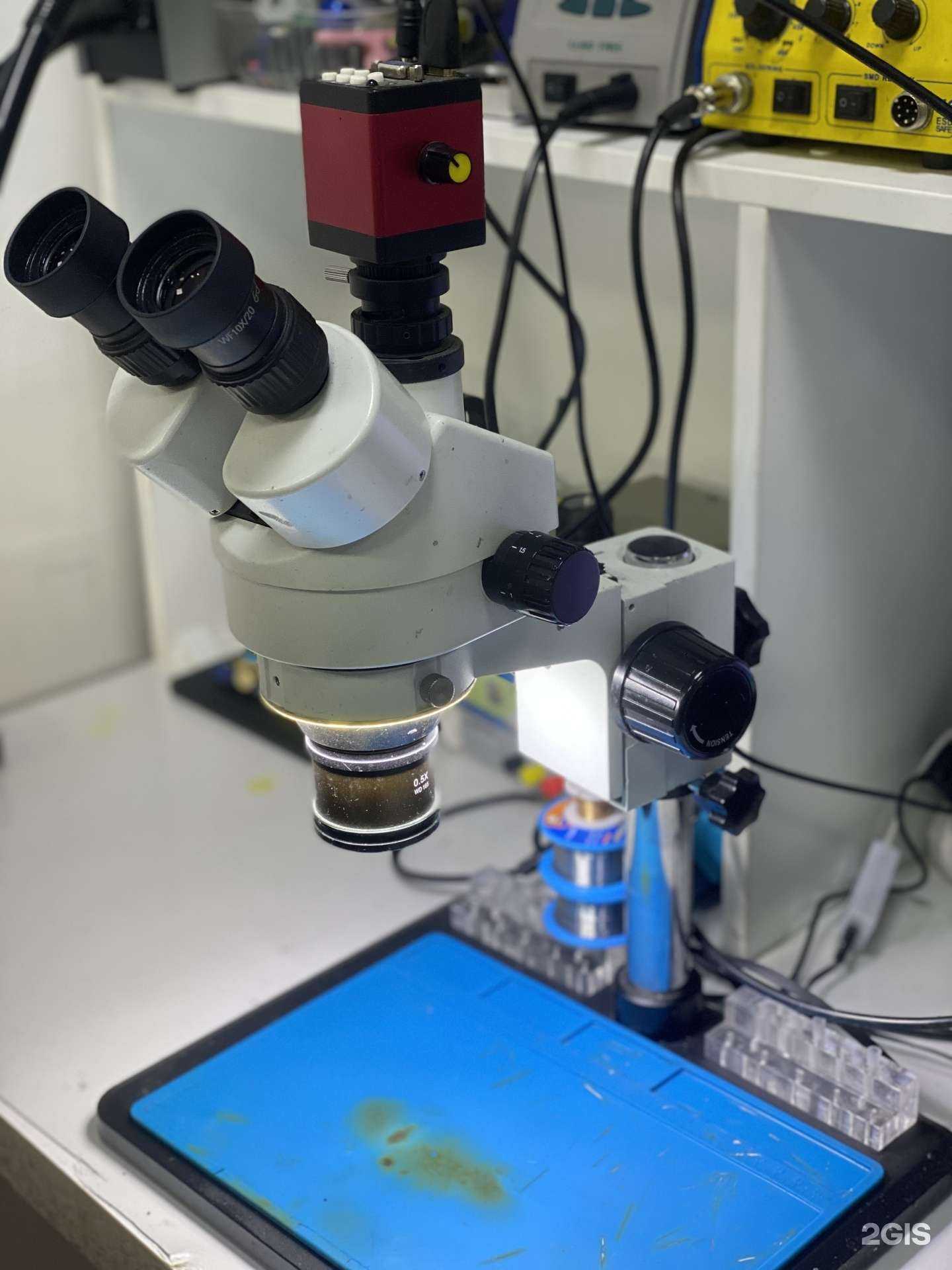 Отзывы на компанию Слон в Находке c фото