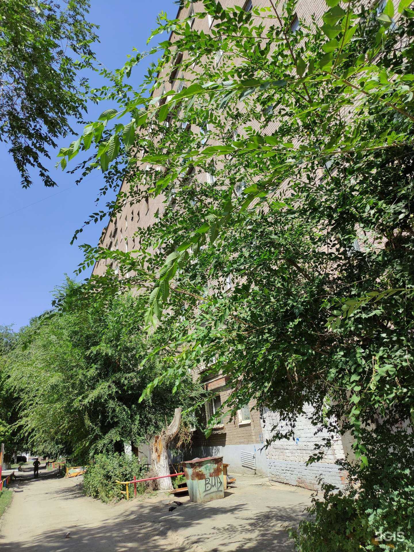 Отзывы на компанию Стом-Эконом в Орске c фото - фотография 2 из 2