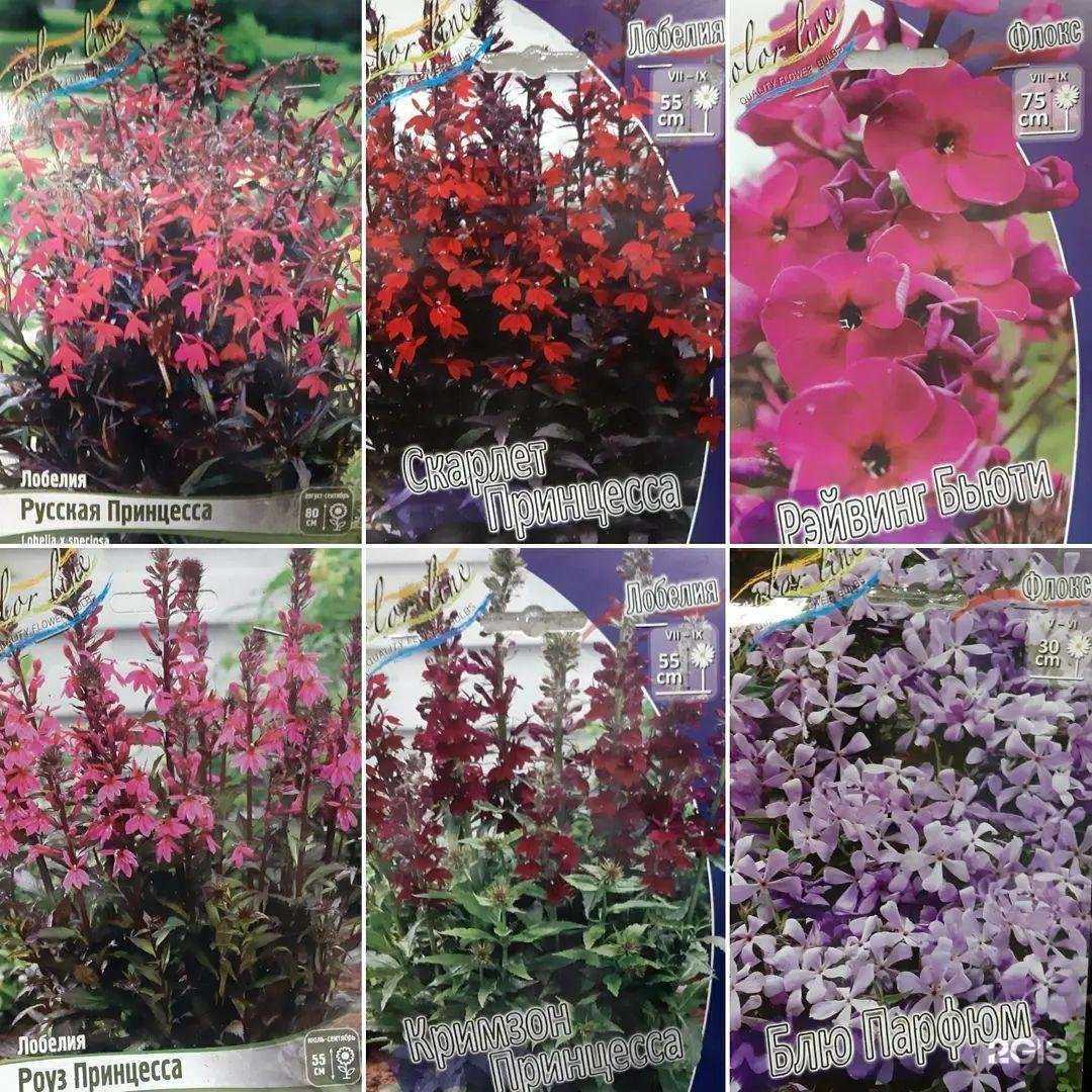 Отзывы на компанию Чудосад27 в Хабаровске c фото