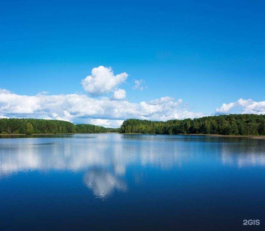 Отзывы на компанию Тараскуль в Тюмени c фото