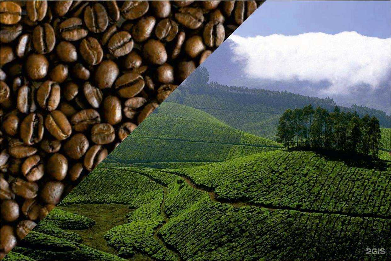 Отзывы на компанию Кофейно-чайная компания в Новосибирске c фото