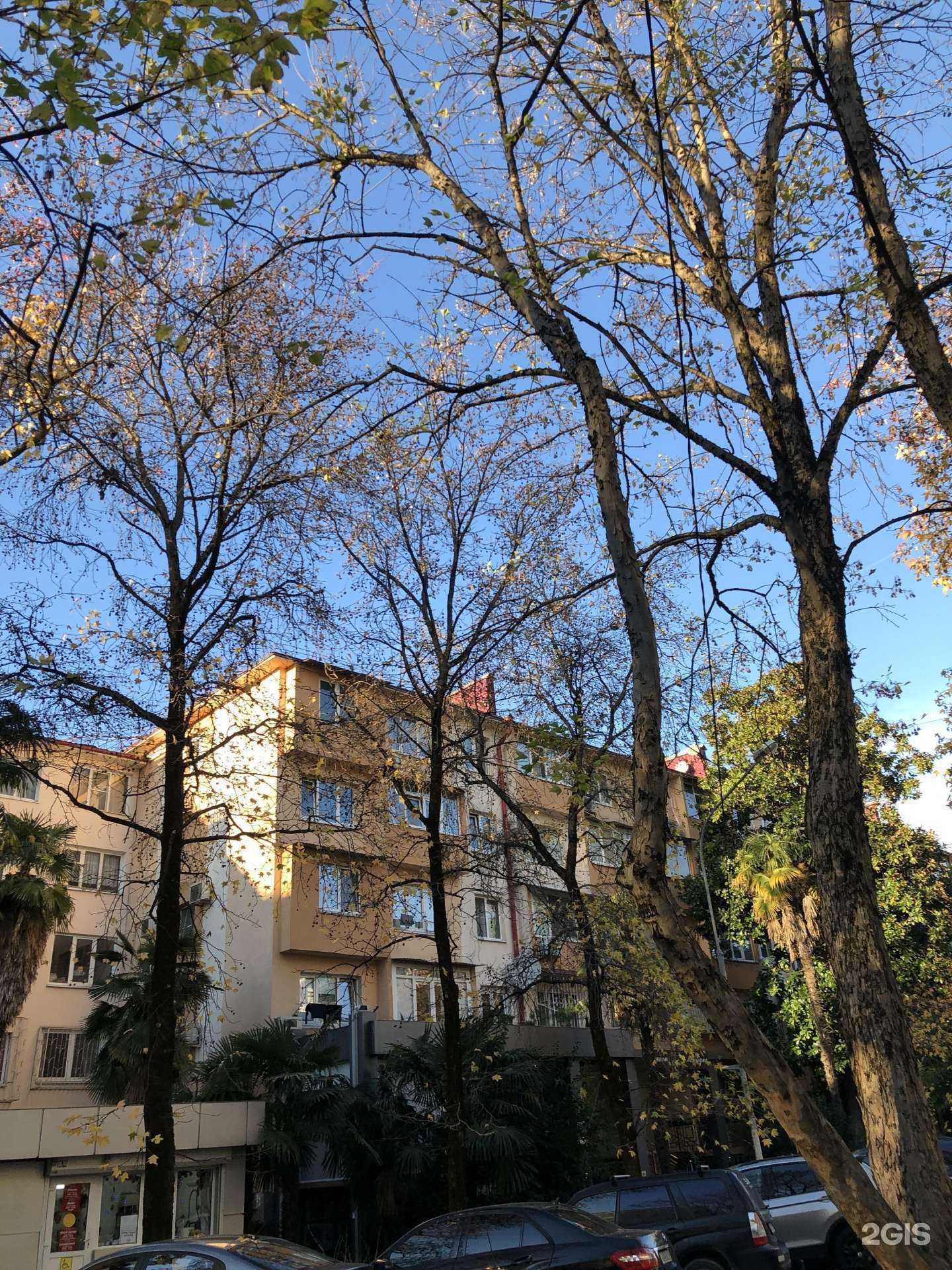 Отзывы на компанию New look в Сочи c фото - фотография 2 из 2