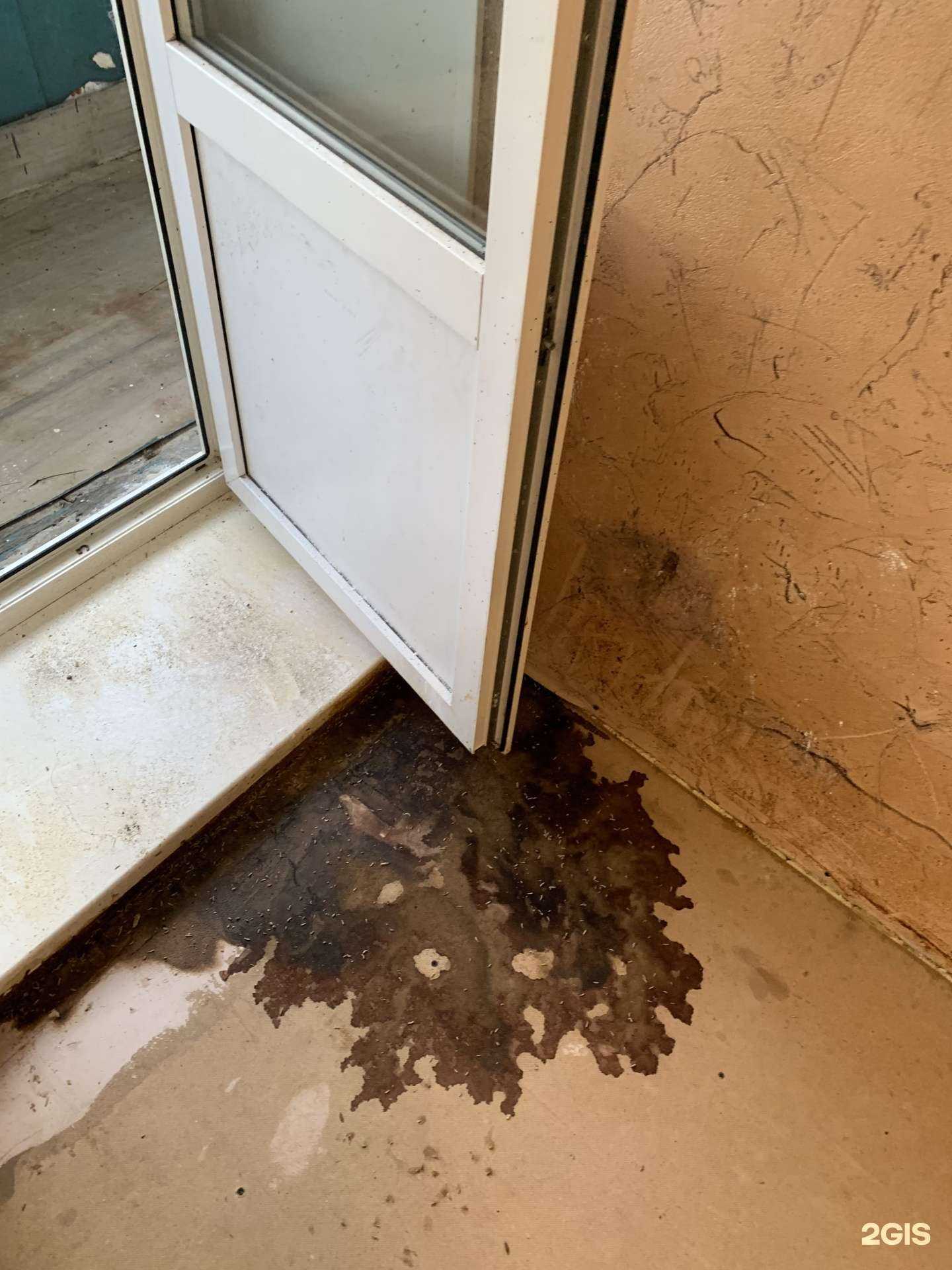 Отзывы на компанию СЭС Курган в г. Курган c фото