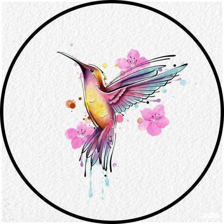 Отзывы на компанию Колибри в г. Тольятти c фото