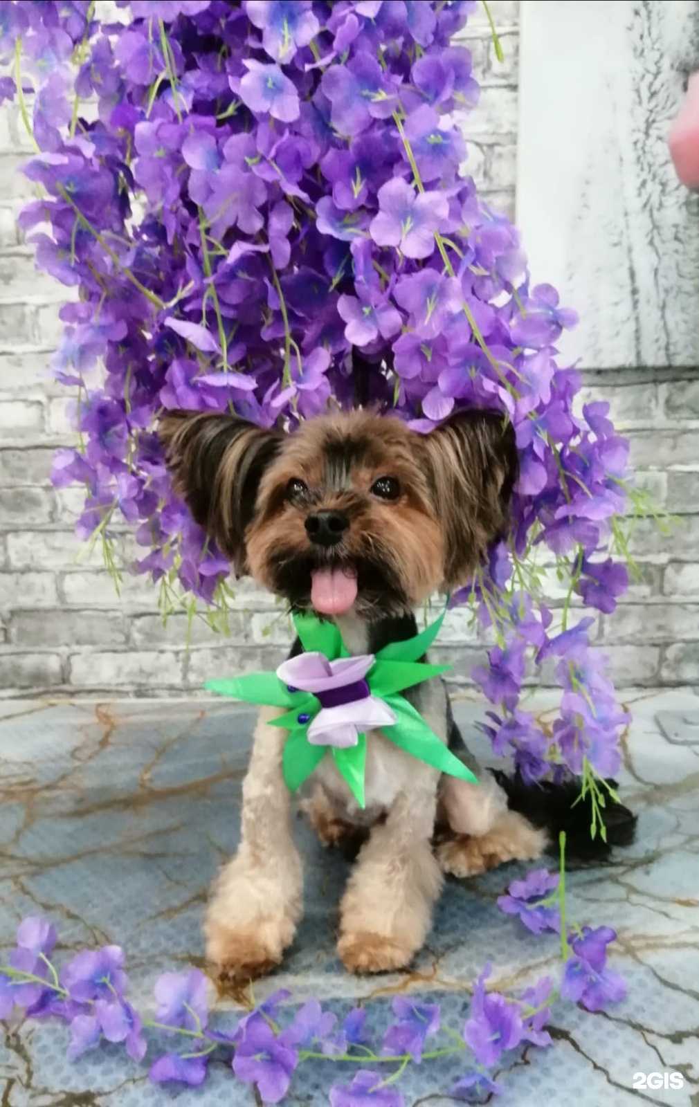 Отзывы на компанию Плюшка в Новороссийске c фото