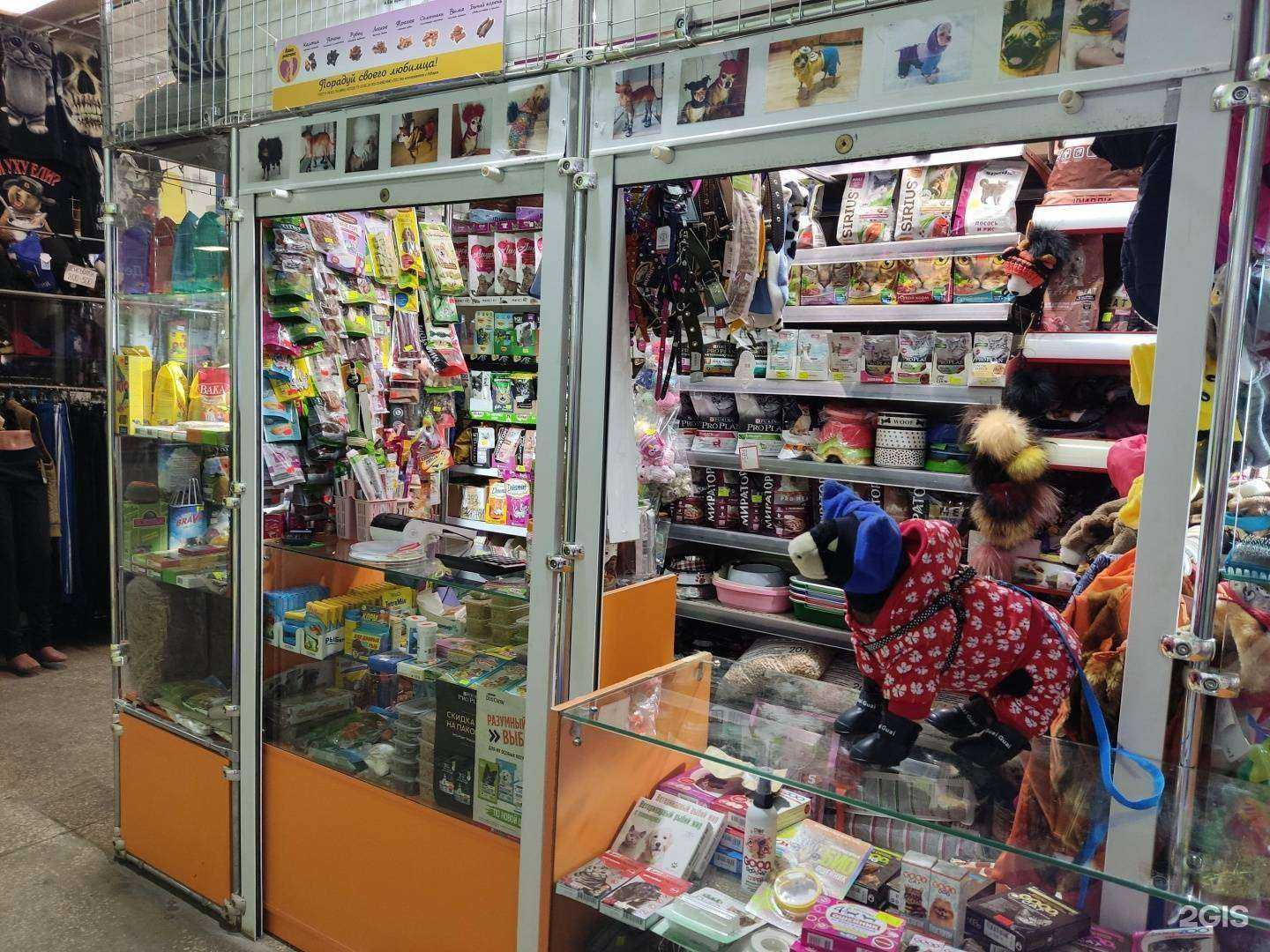 Отзывы на компанию Хвостатые модники в Перми c фото