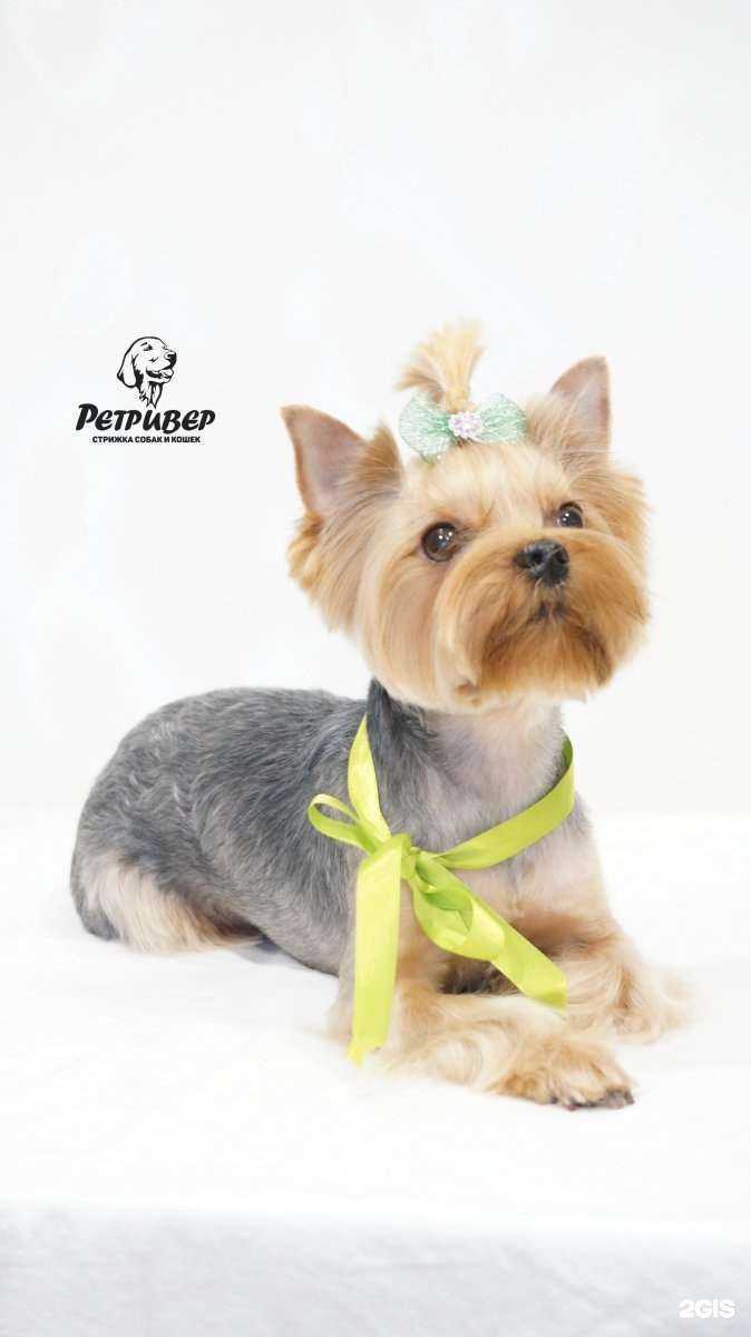 Отзывы на компанию Ретривер в Иркутске c фото