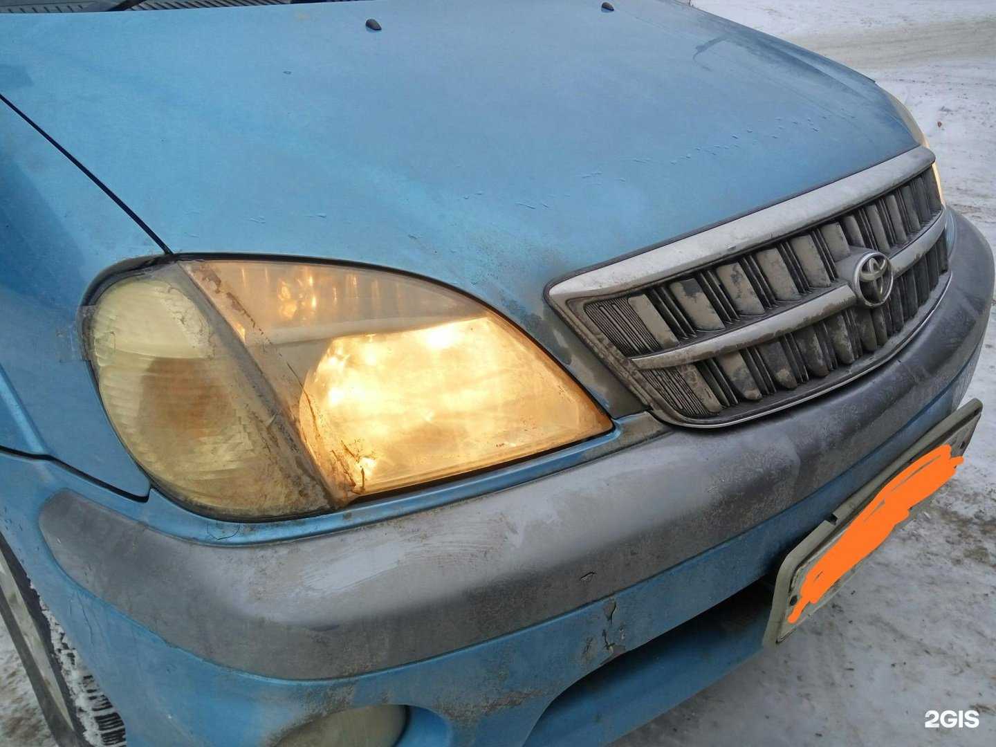 Отзывы на компанию Дельфин в Новосибирске c фото