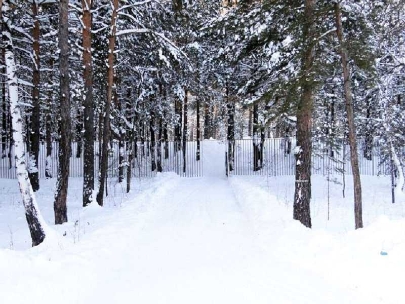 Отзывы на компанию Лыжная база в Барнауле c фото