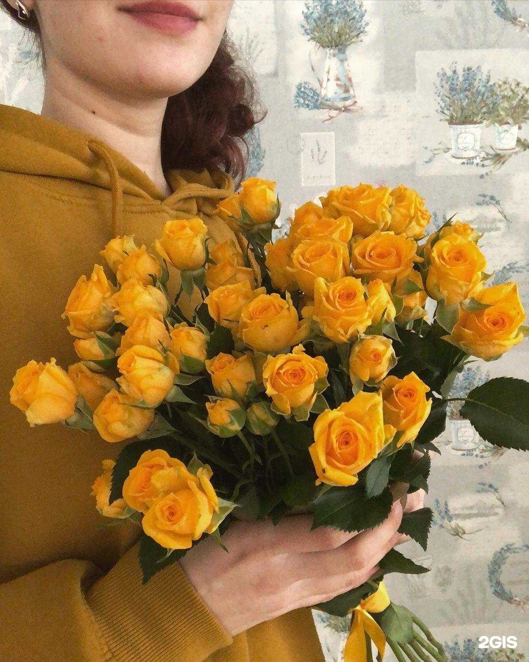 Отзывы на компанию СитиФлора Сток в г. Кострома c фото