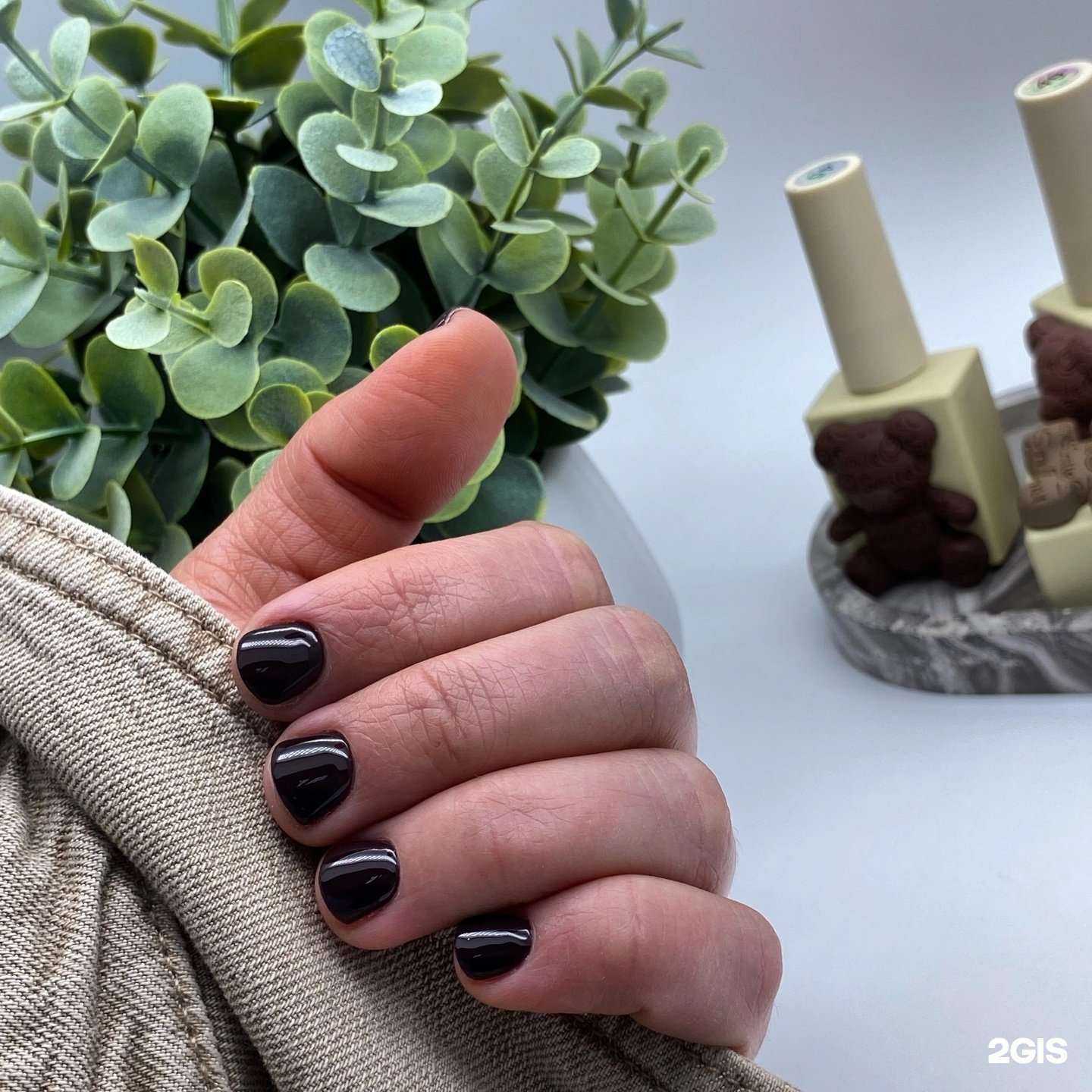 Отзывы на компанию Галина в г. Новокузнецк c фото