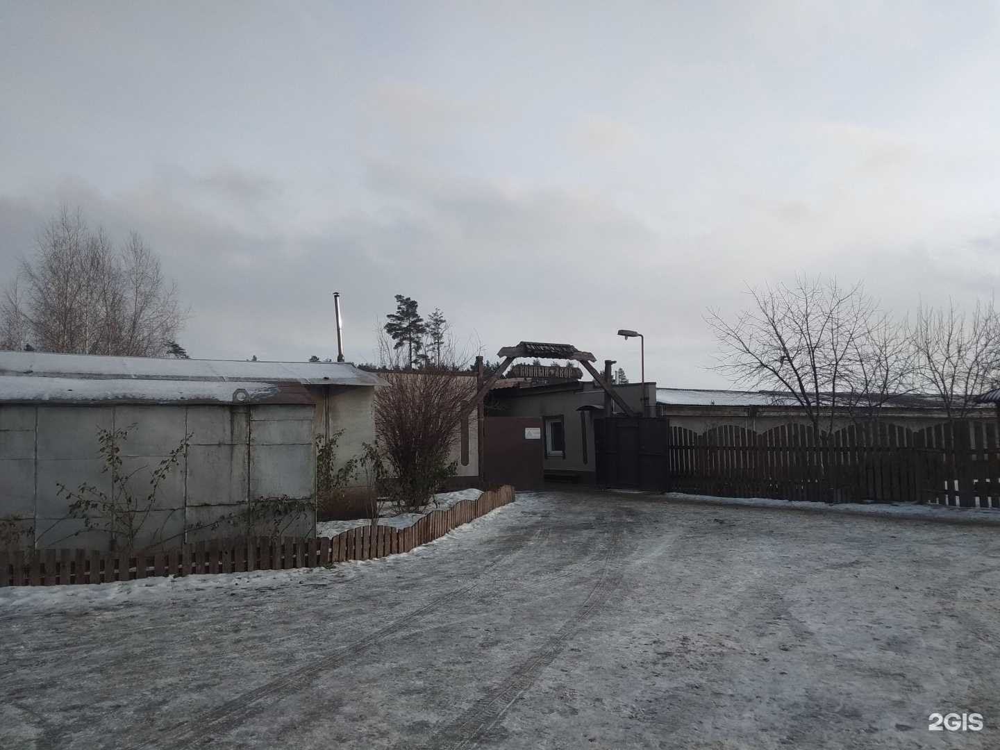 Отзывы на компанию Конный двор в Липецке c фото - фотография 2 из 2