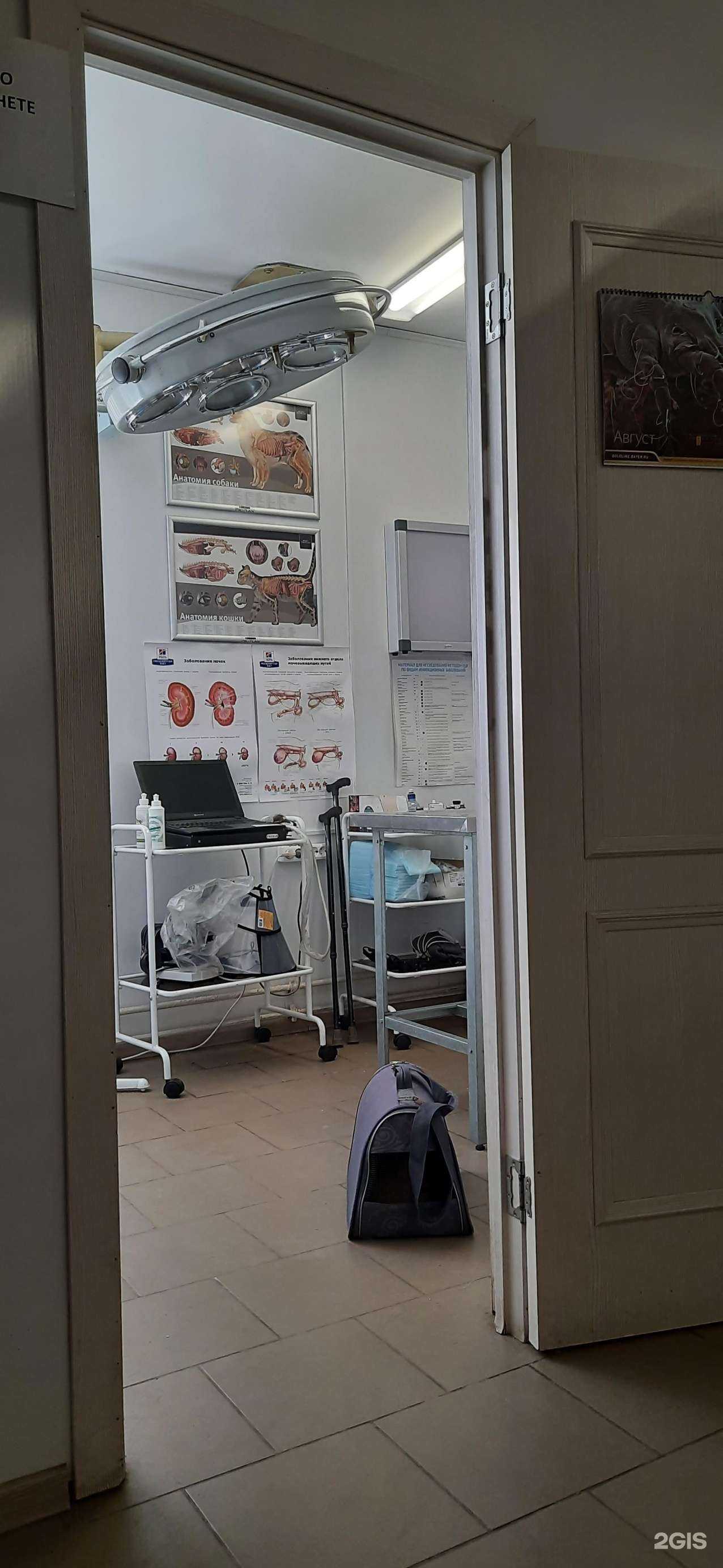 Отзывы на компанию Ветеринарная клиника в Красногорске c фото