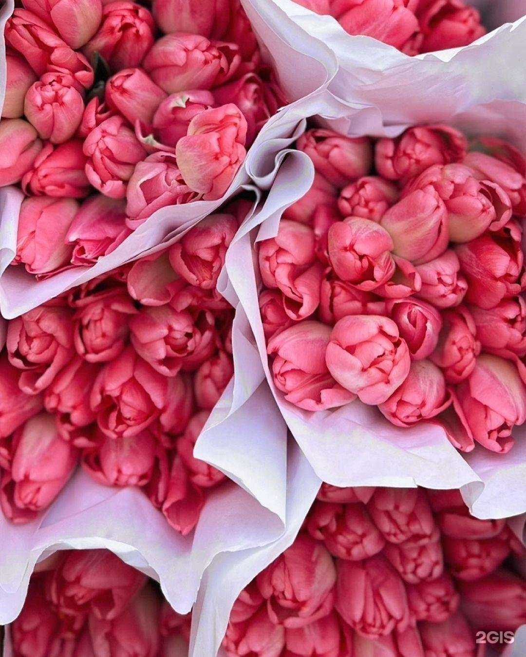 Отзывы на компанию Bon fleur в г. Черкесск c фото